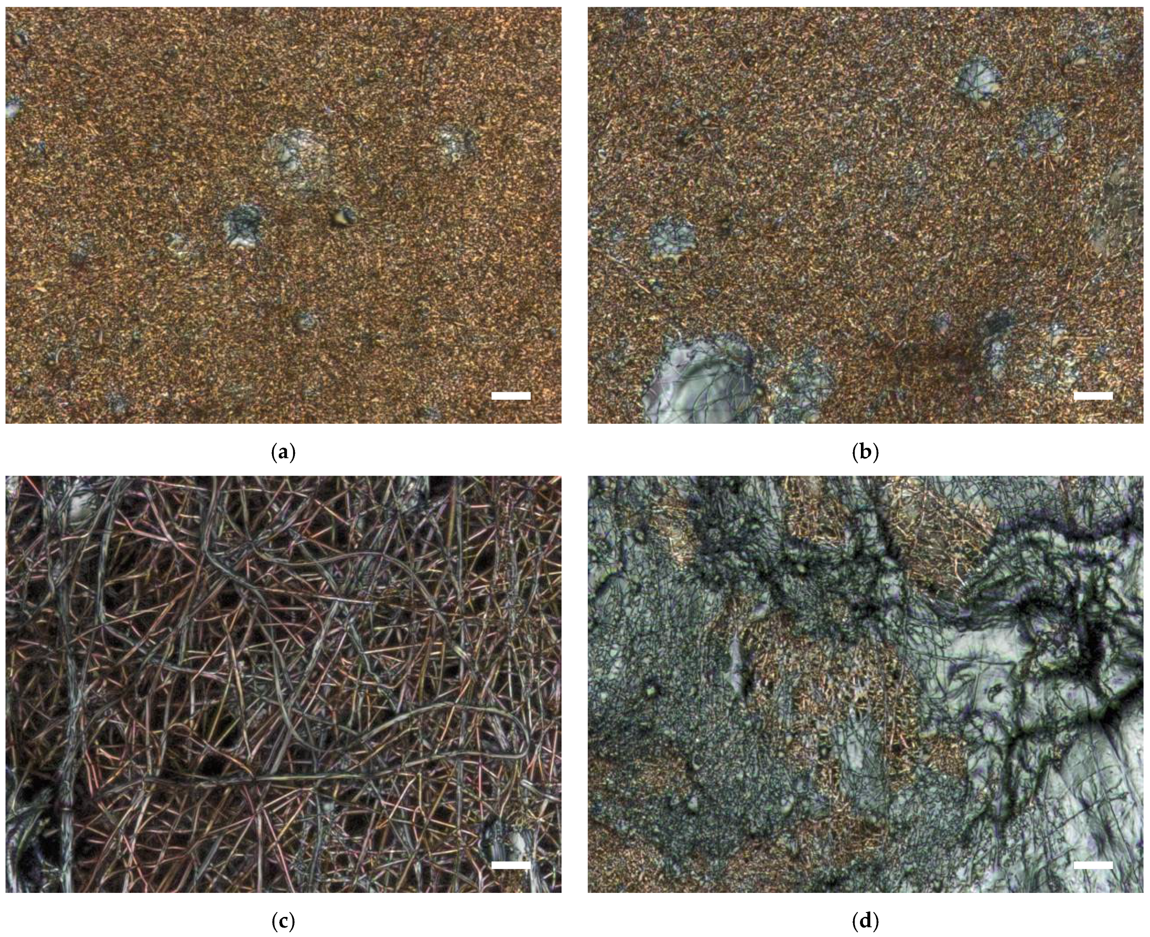 Fibers 12 00097 g011