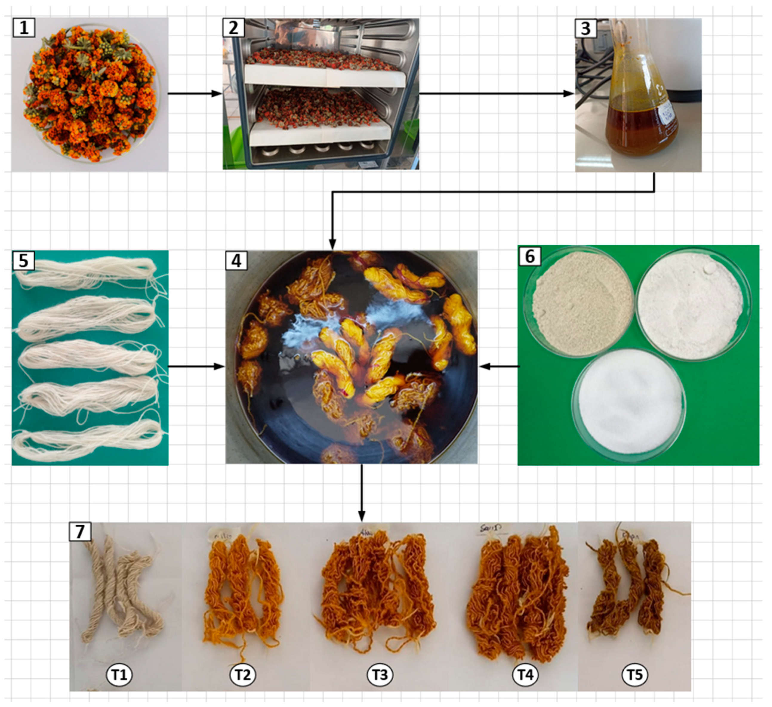 Fibers 13 00002 g002