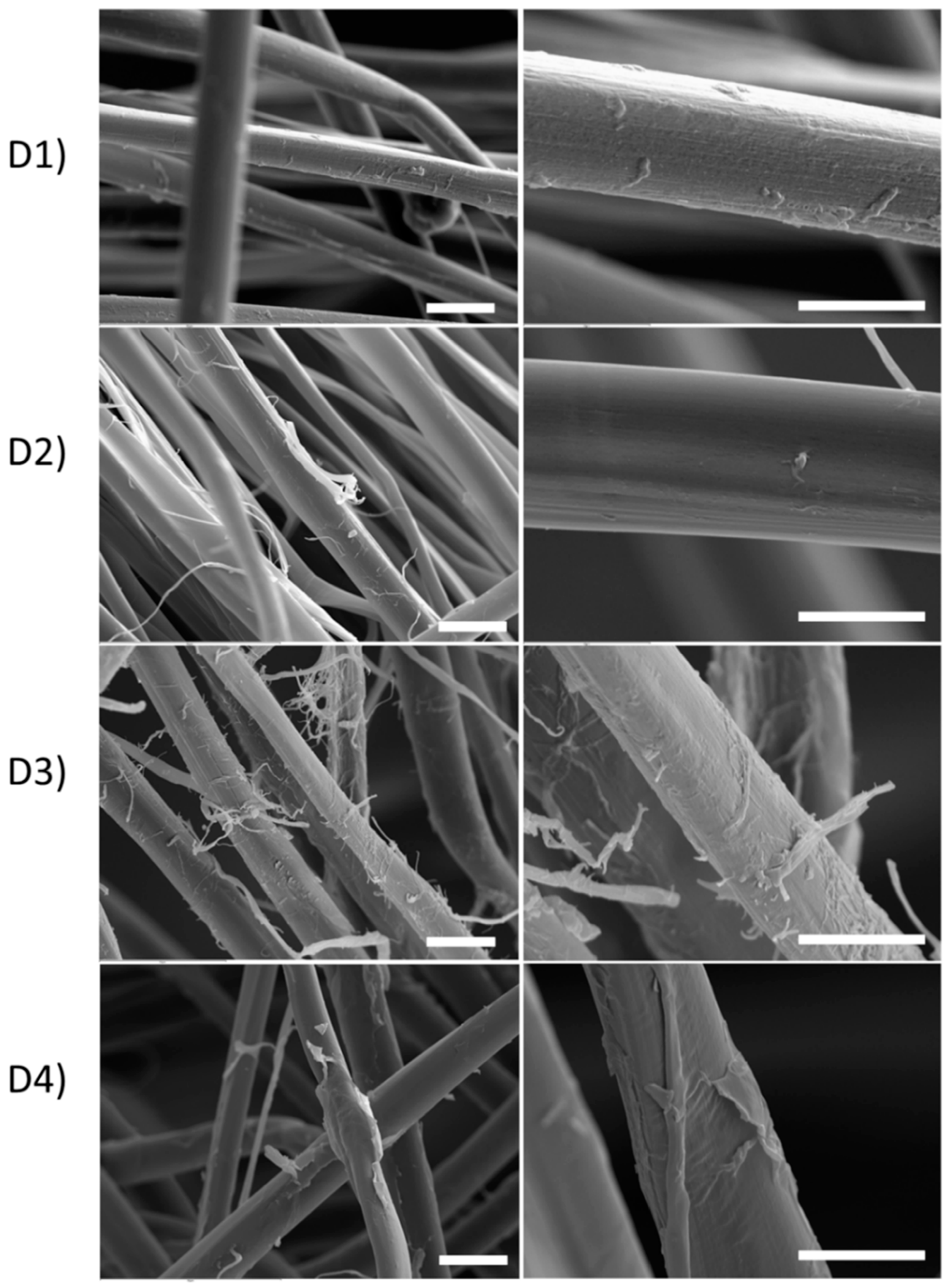 Fibers 13 00006 g003