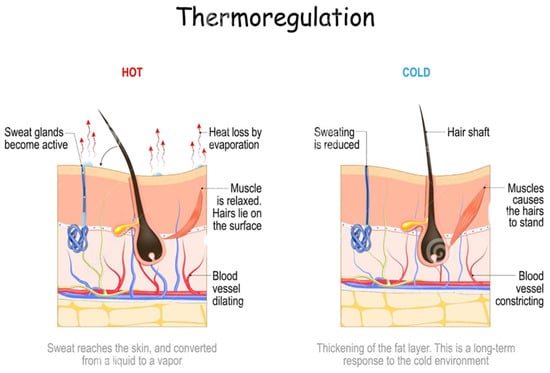 Fibers 13 00013 g001