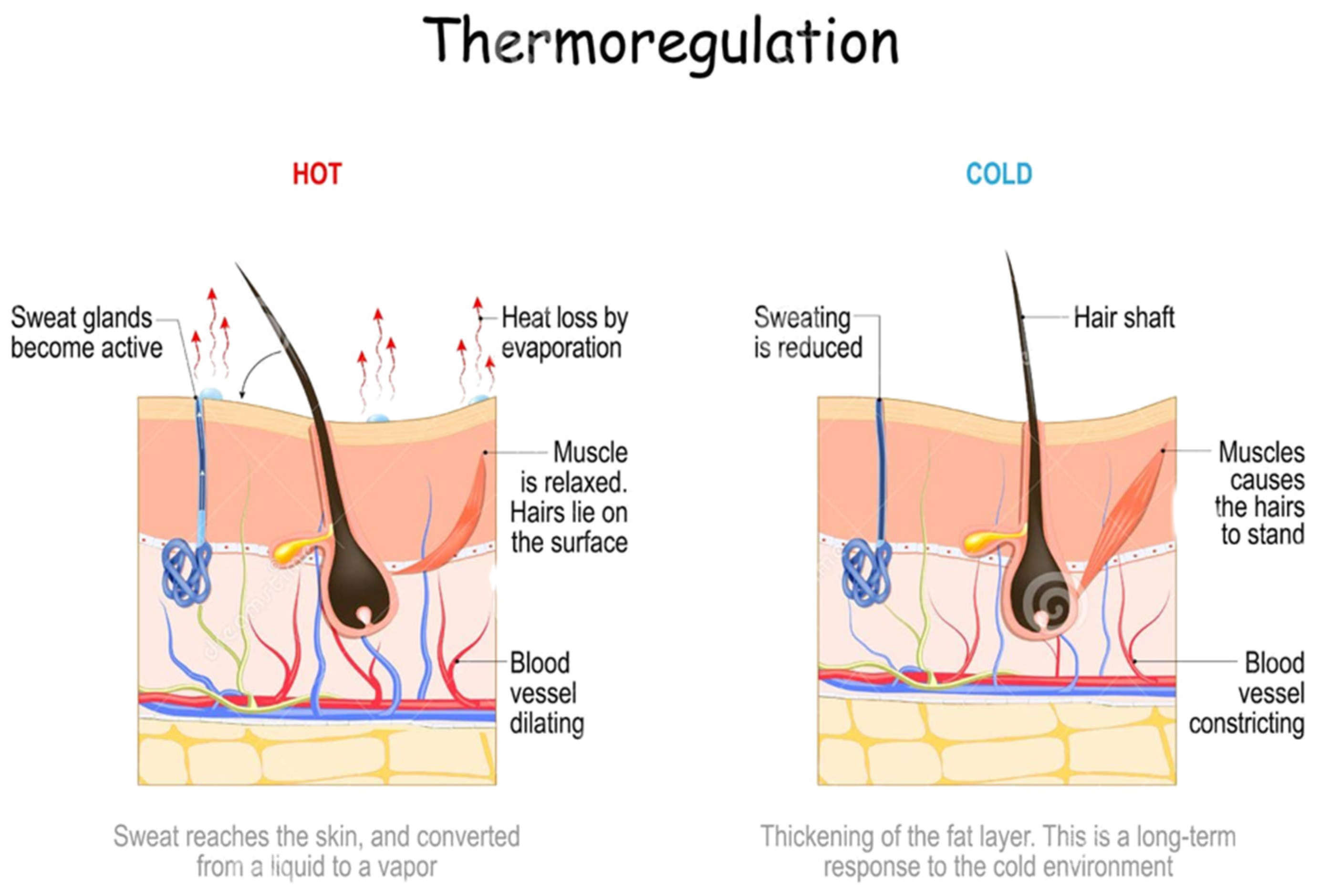Fibers 13 00013 g001