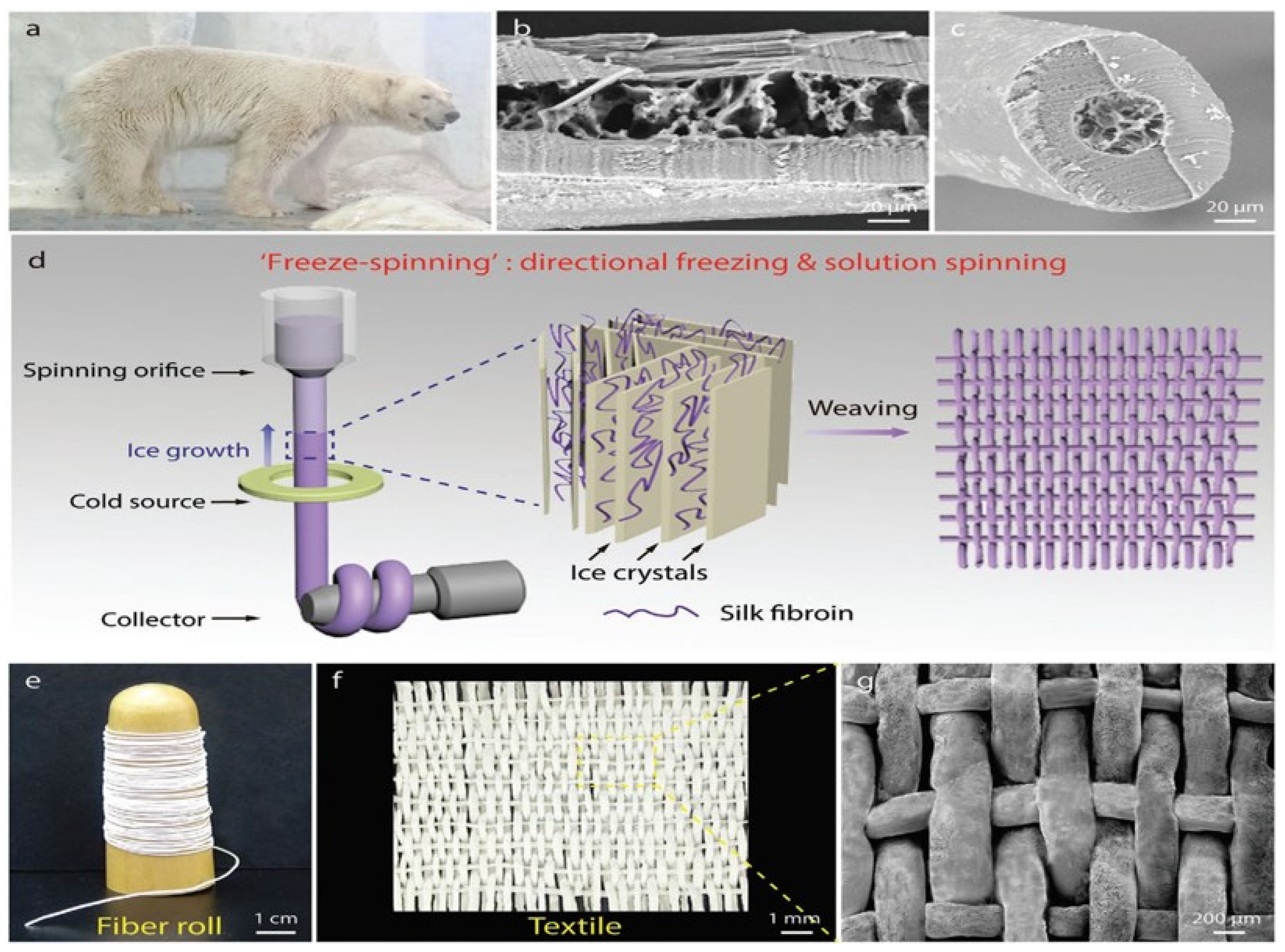 Fibers 13 00013 g004
