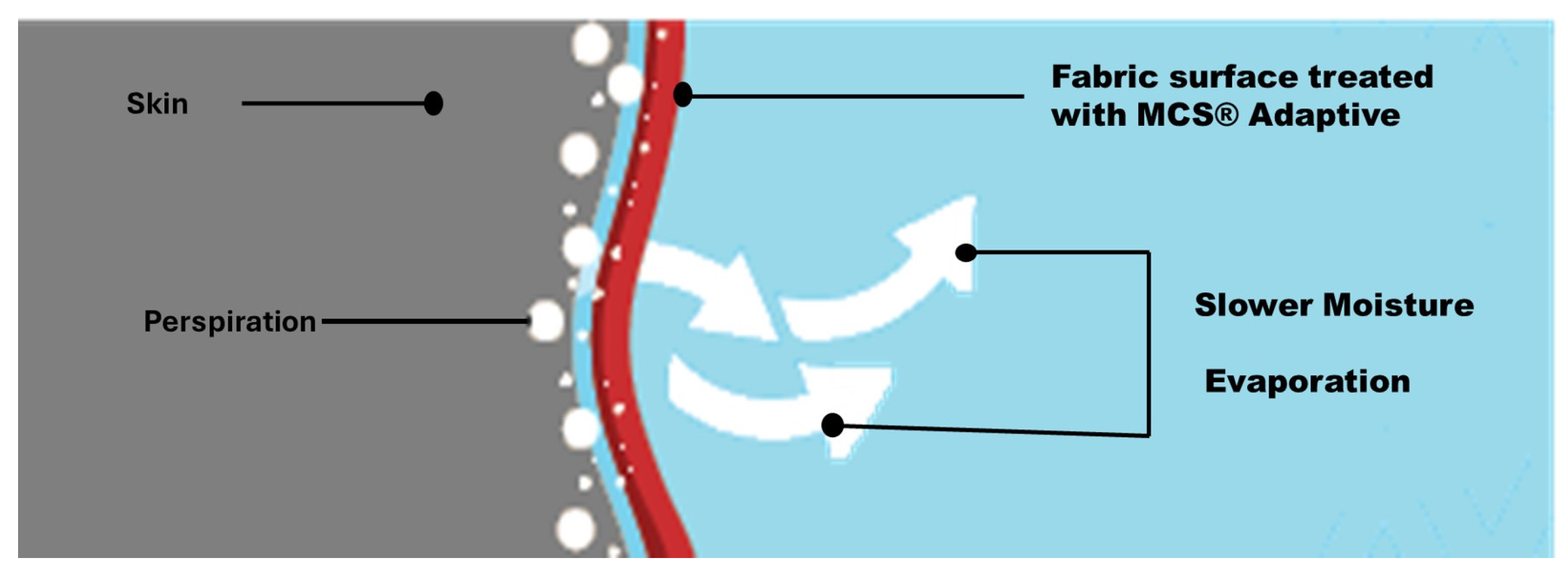 Fibers 13 00013 g011