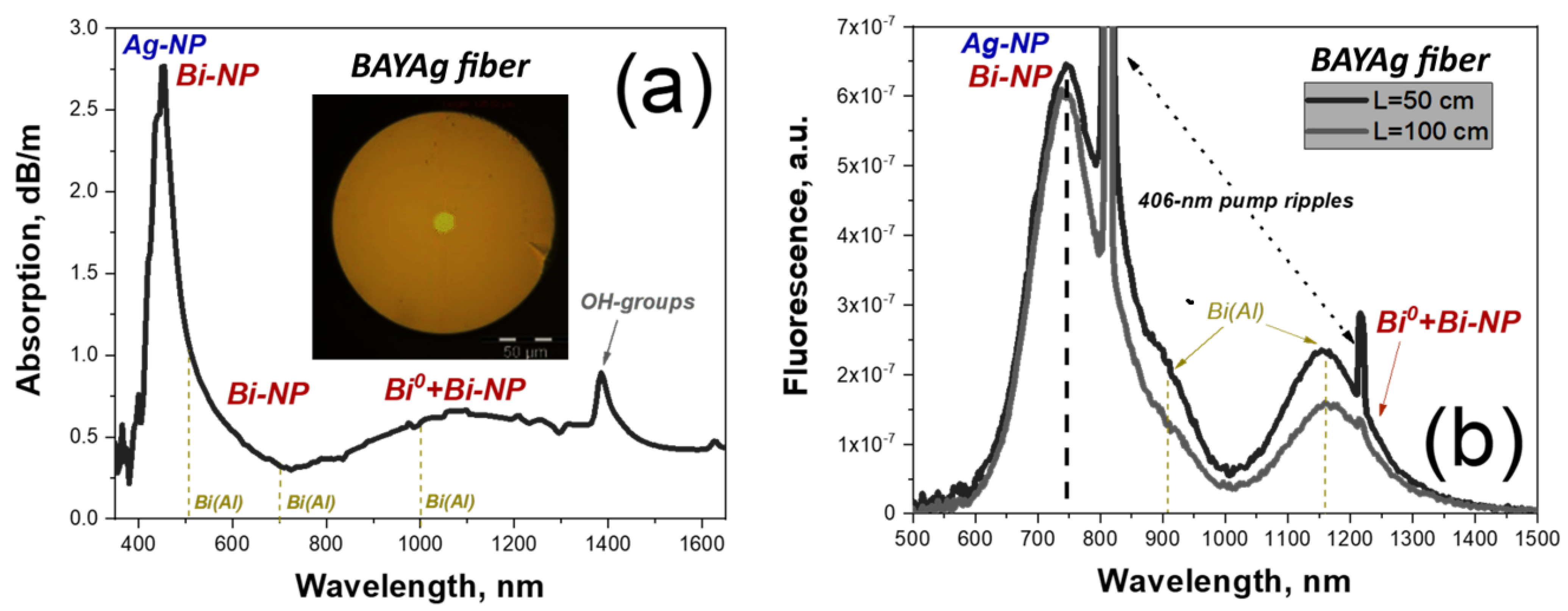 Fibers 13 00017 g001