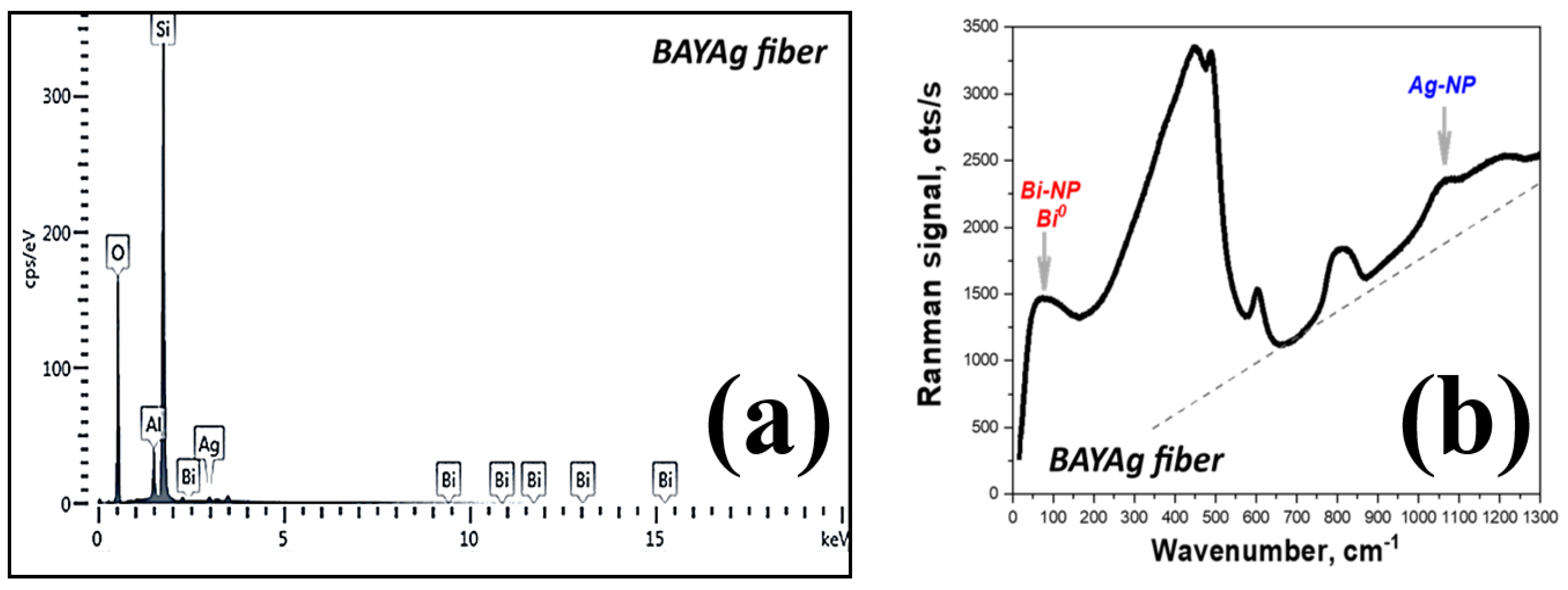 Fibers 13 00017 g002