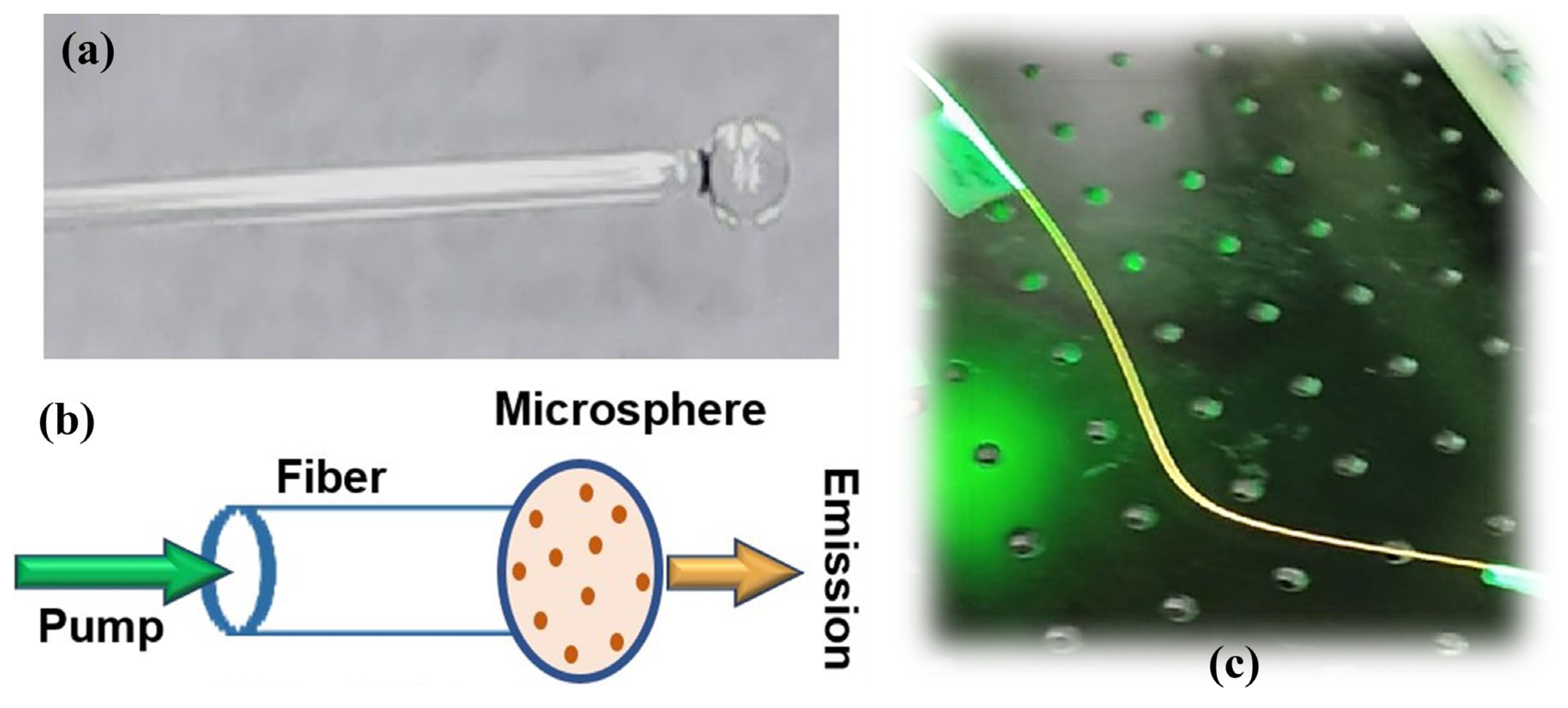 Fibers 13 00017 g004