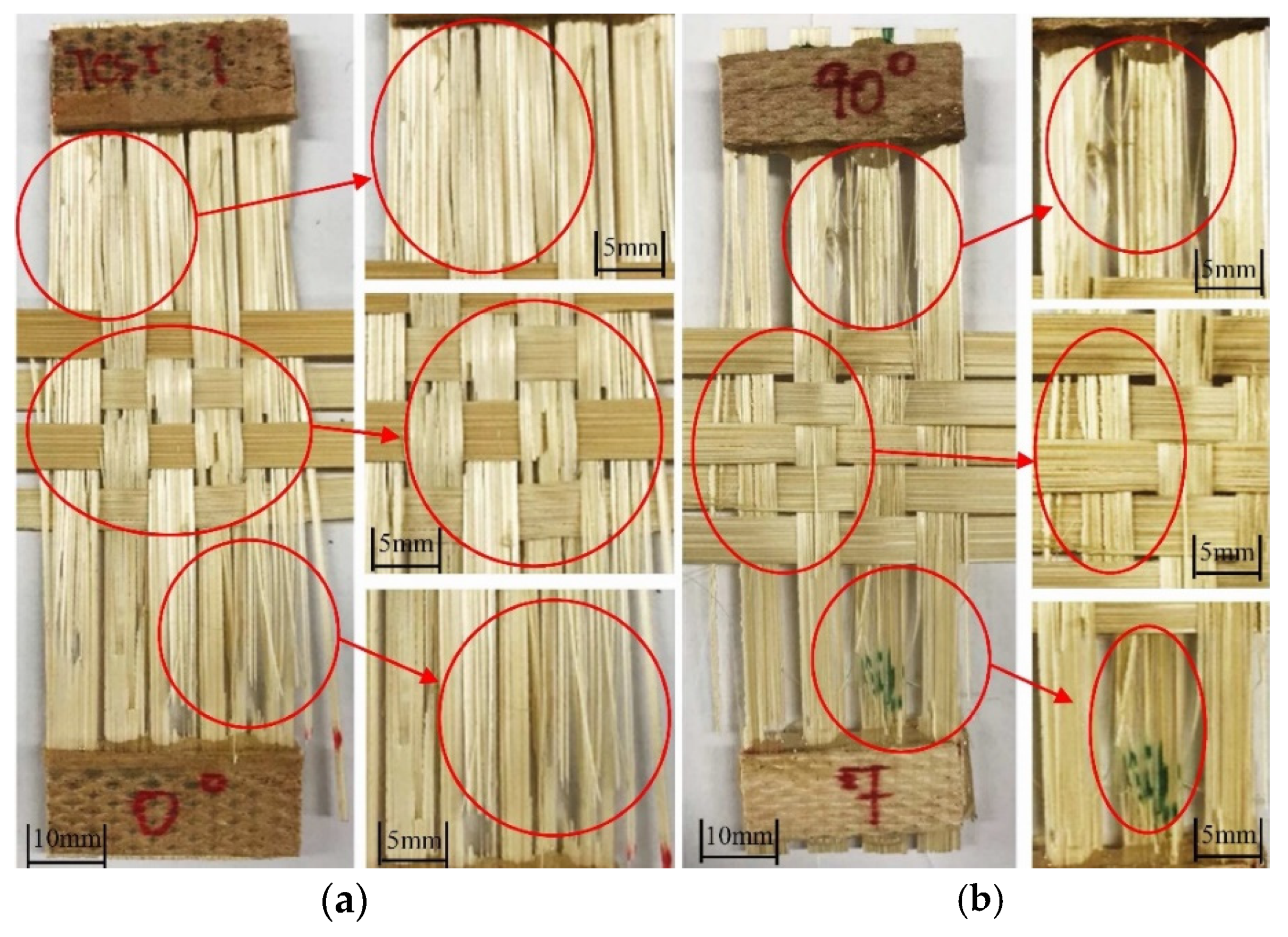 Fibers 13 00018 g017