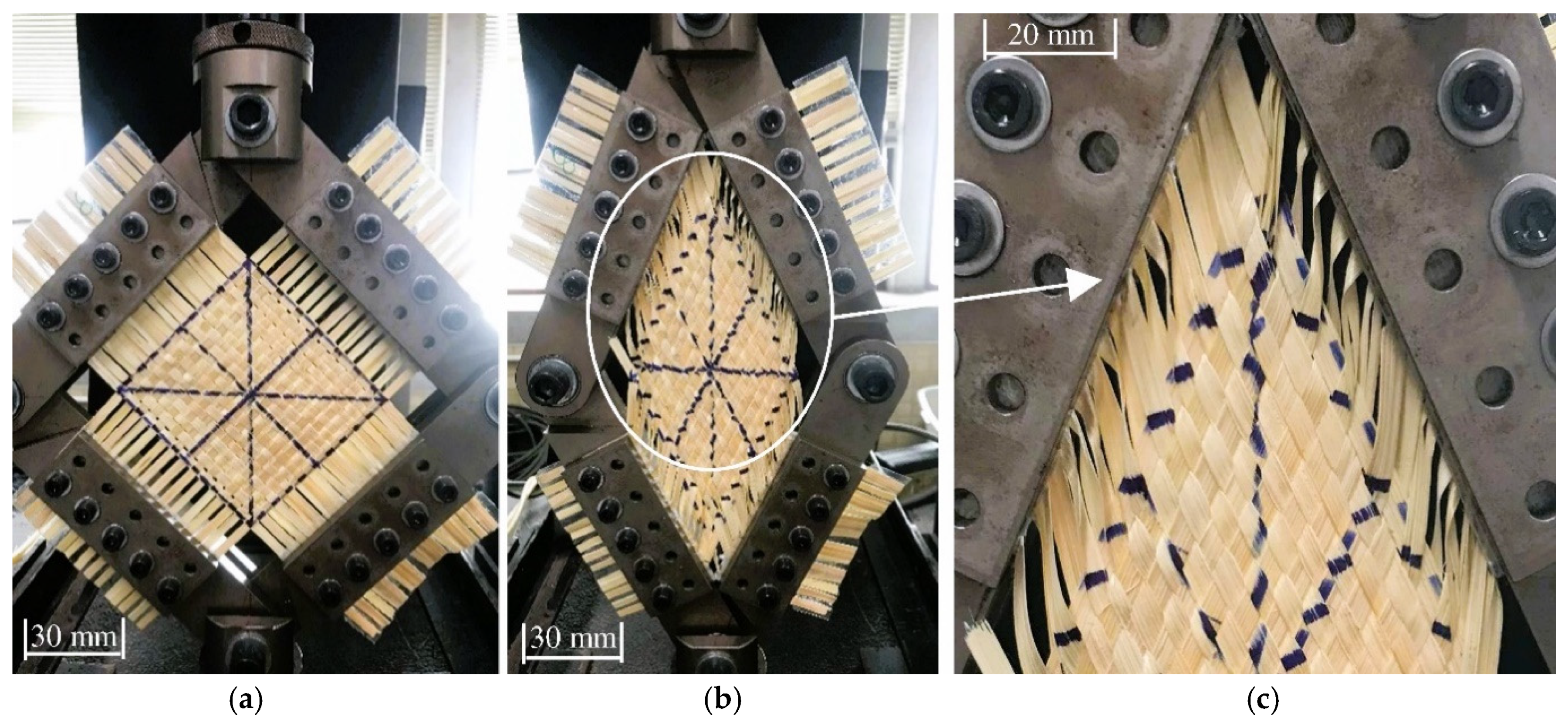 Fibers 13 00018 g019