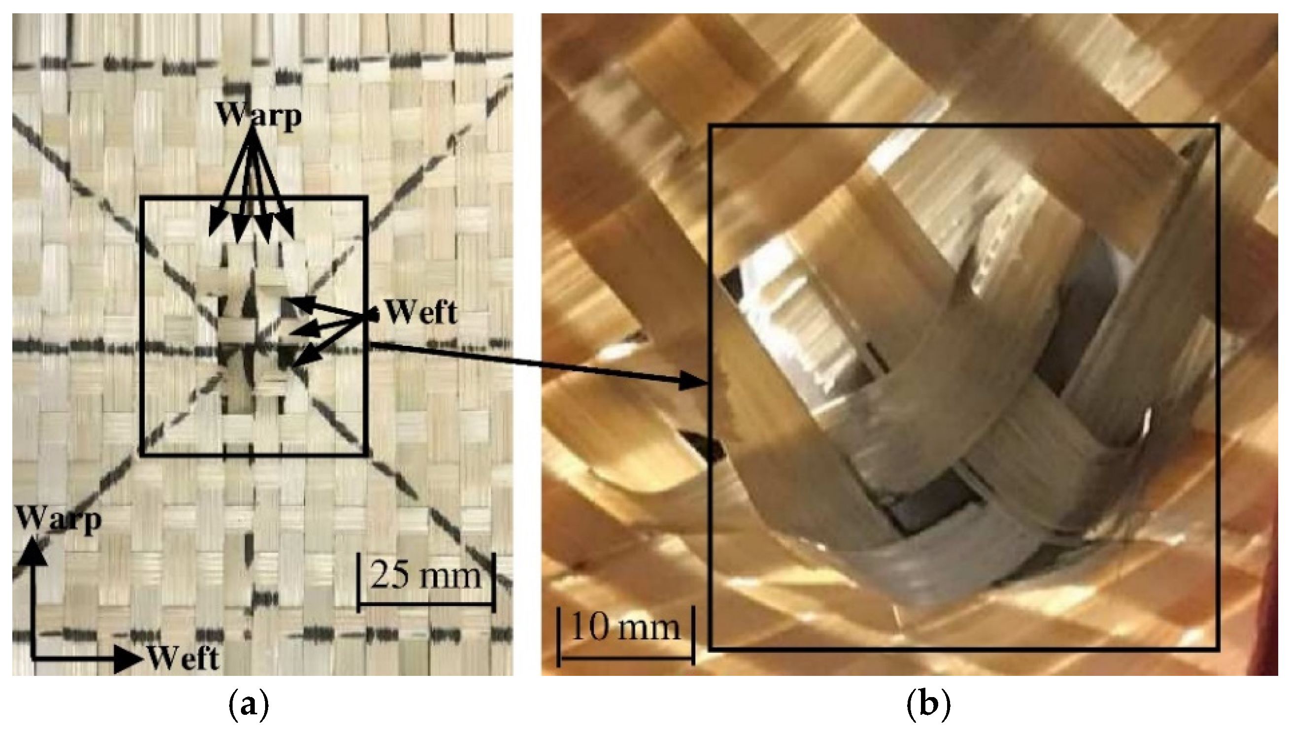 Fibers 13 00018 g021