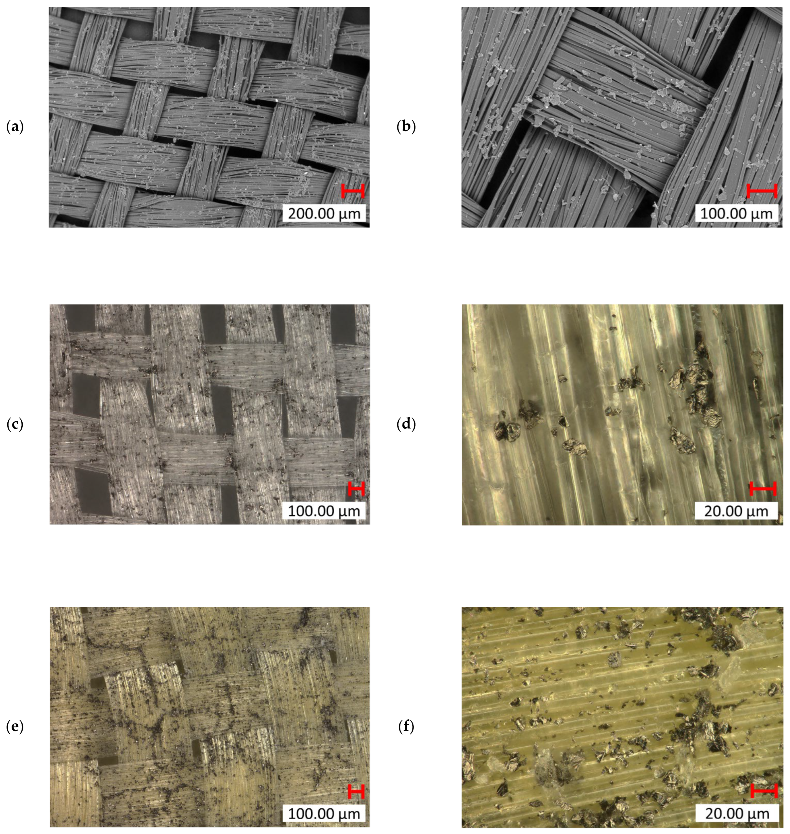 Fibers 13 00019 g017