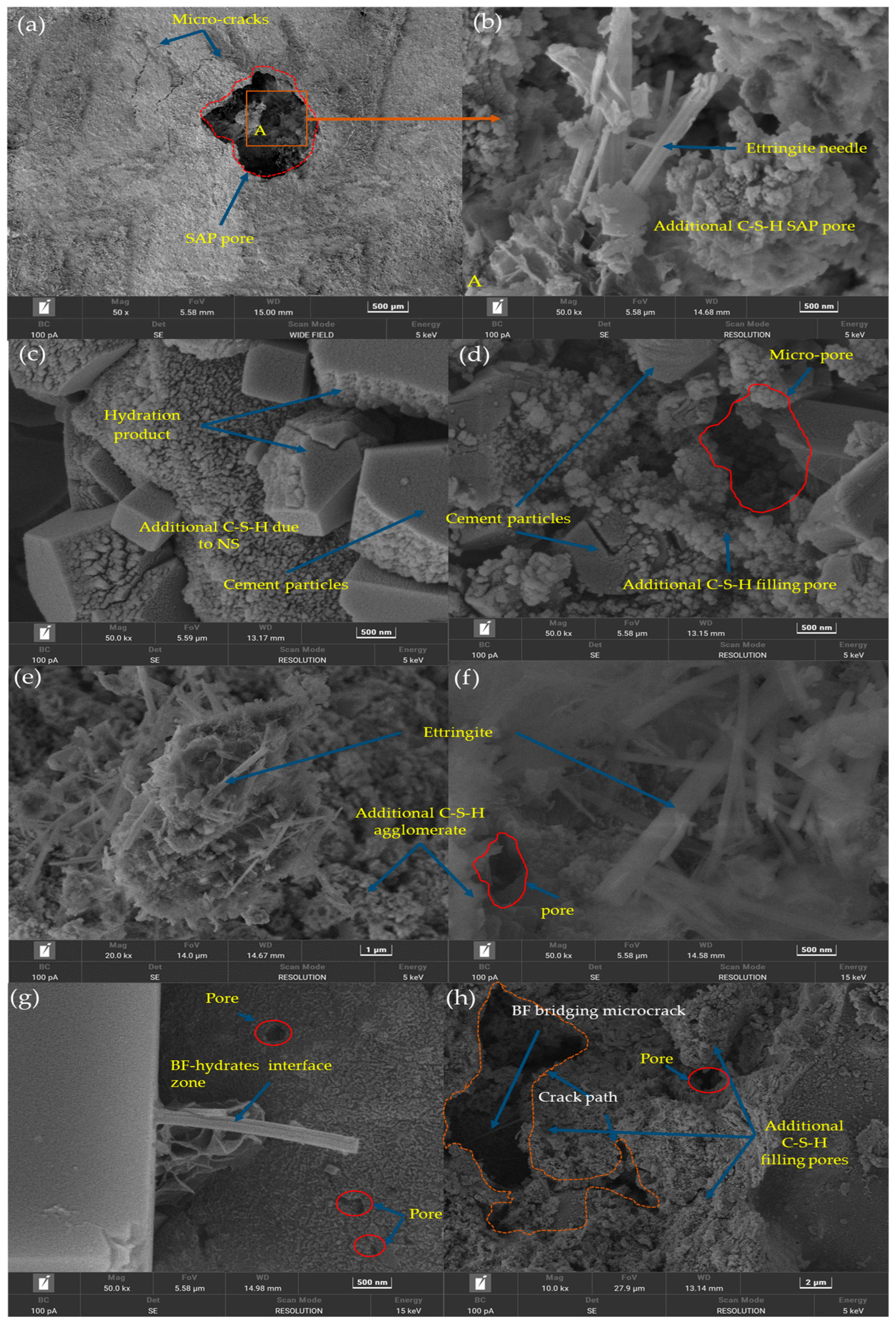 Fibers 13 00025 g018