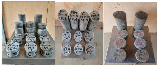 Fibers 13 00026 g022