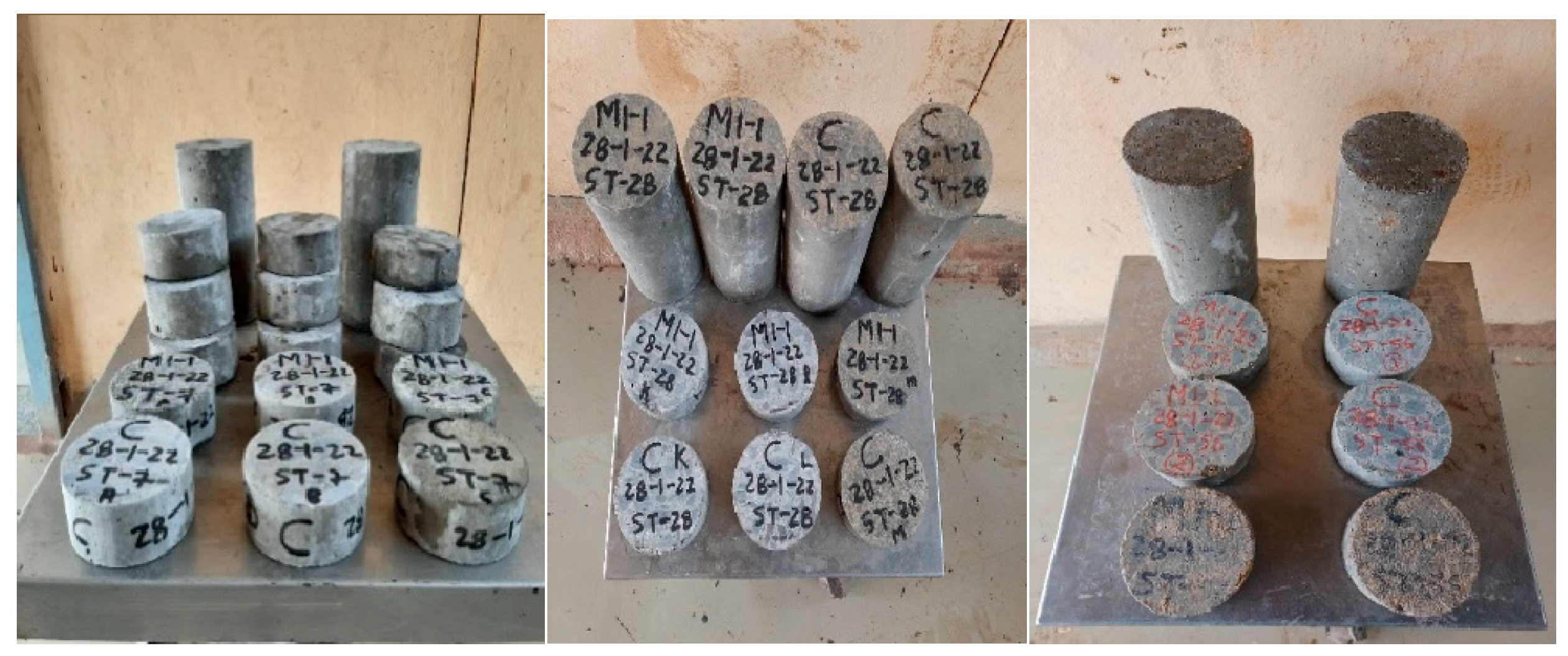 Fibers 13 00026 g022