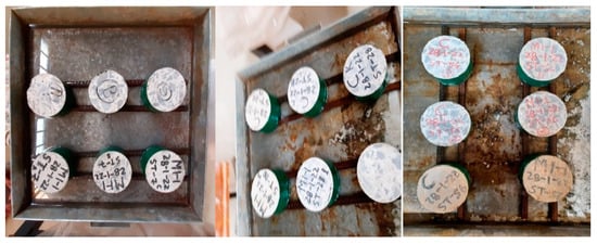 Fibers 13 00026 g023