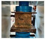 Fibers 13 00026 i003