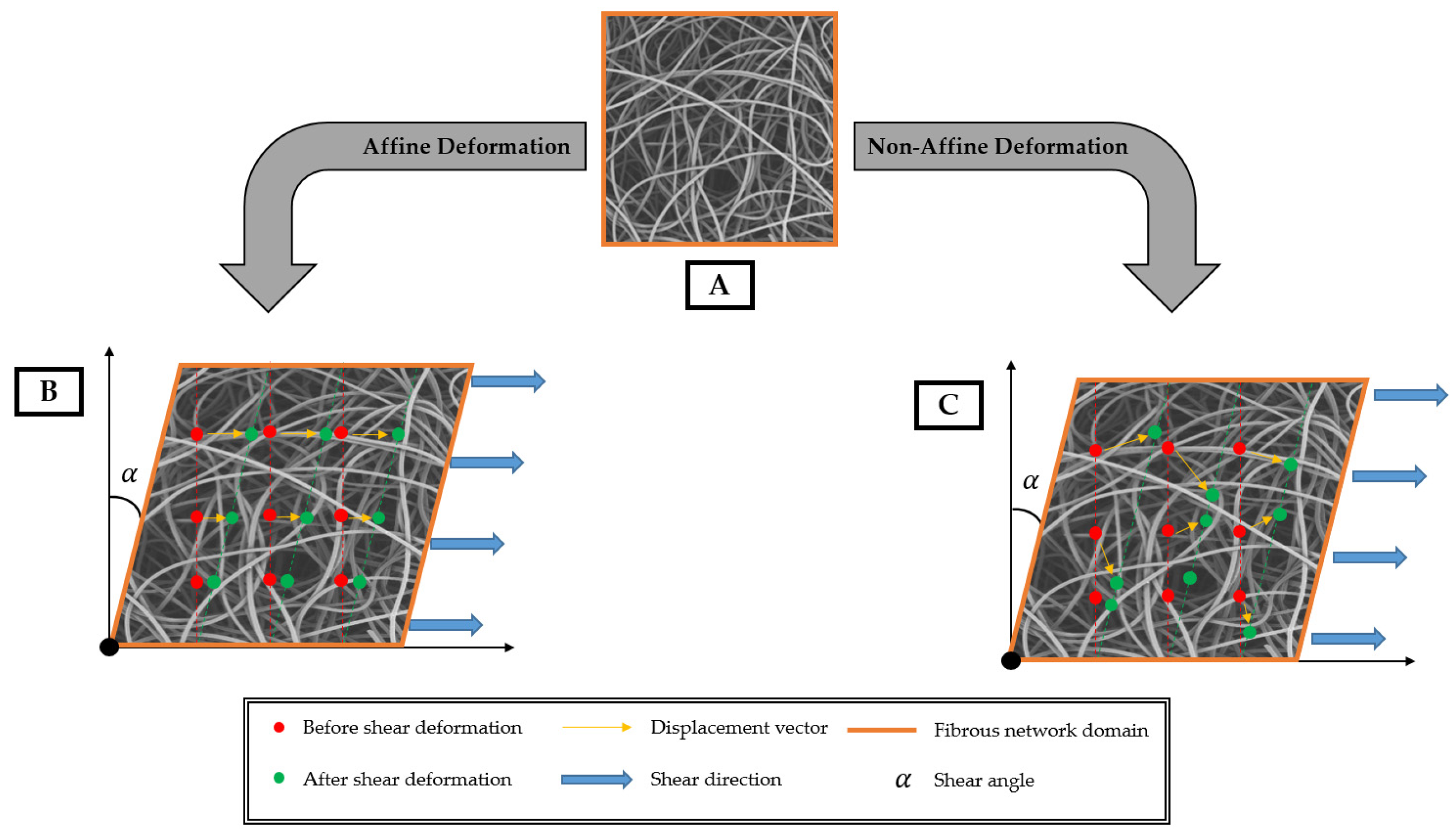 Fibers 13 00027 g011