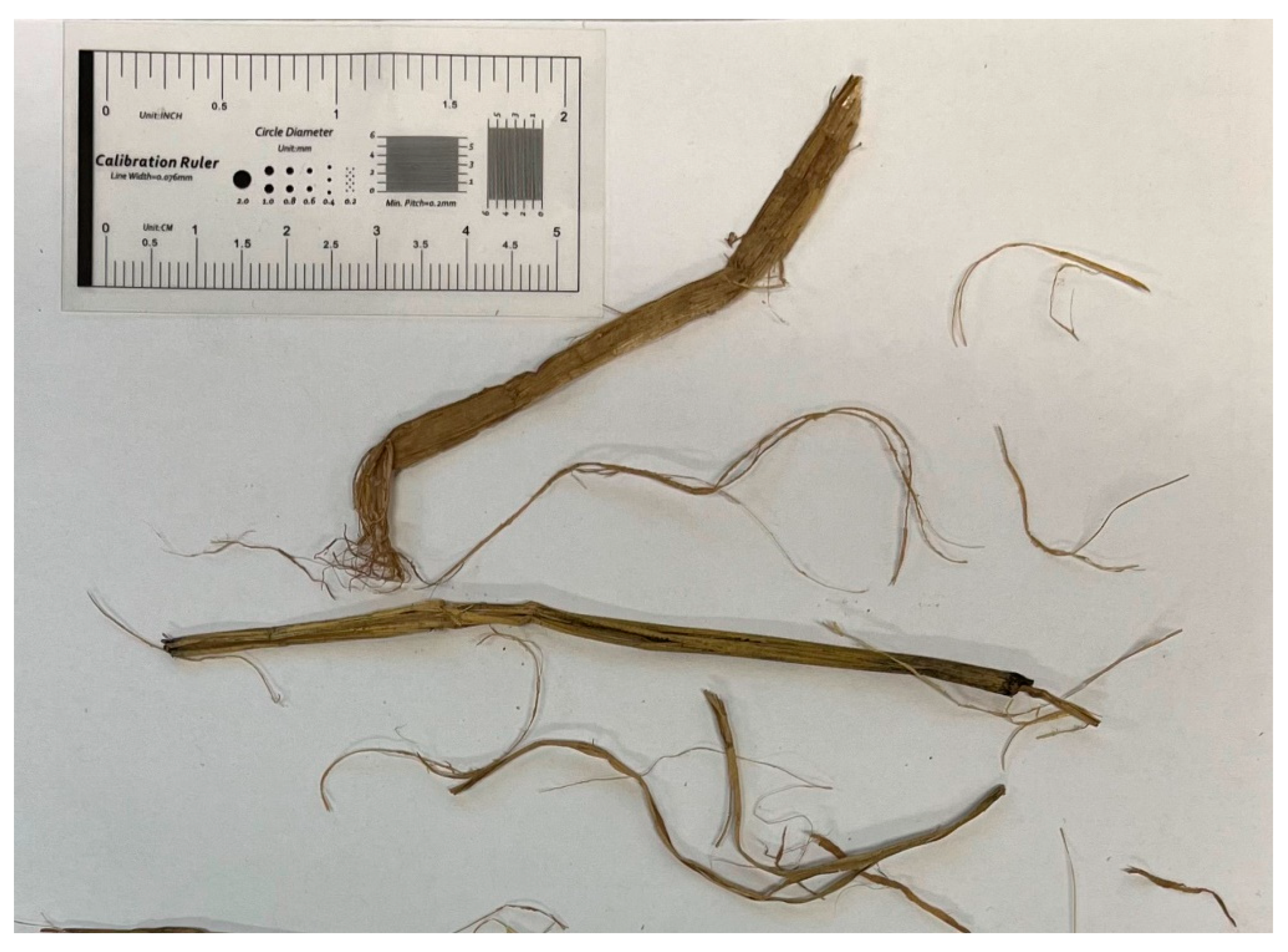 Fibers 13 00028 g002