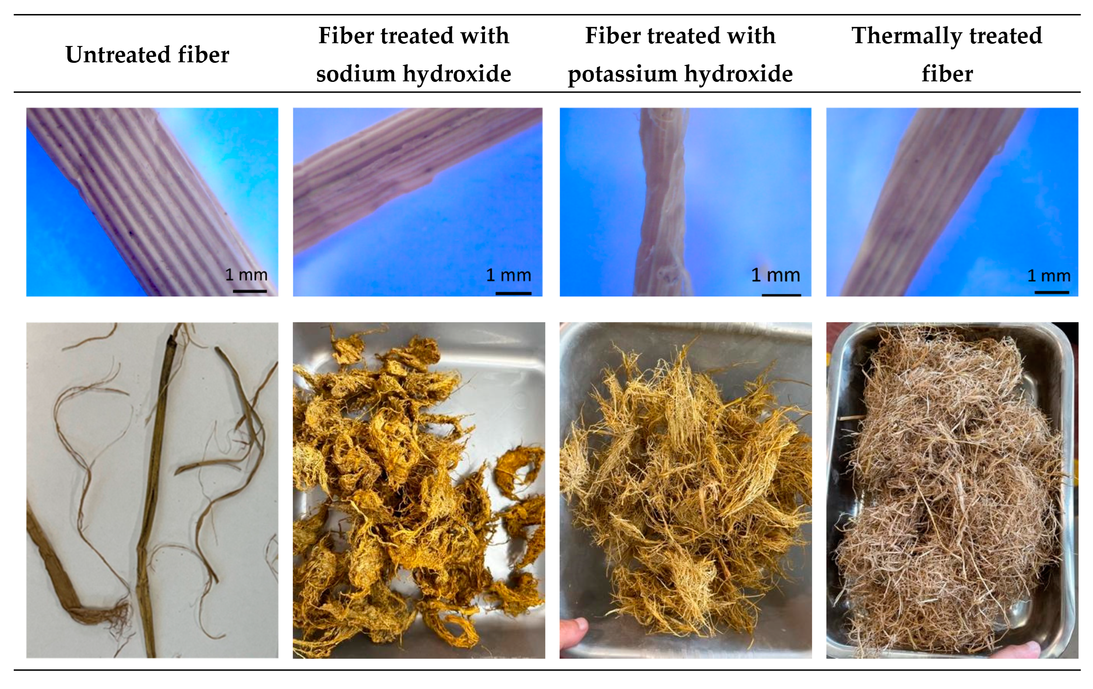 Fibers 13 00028 g003