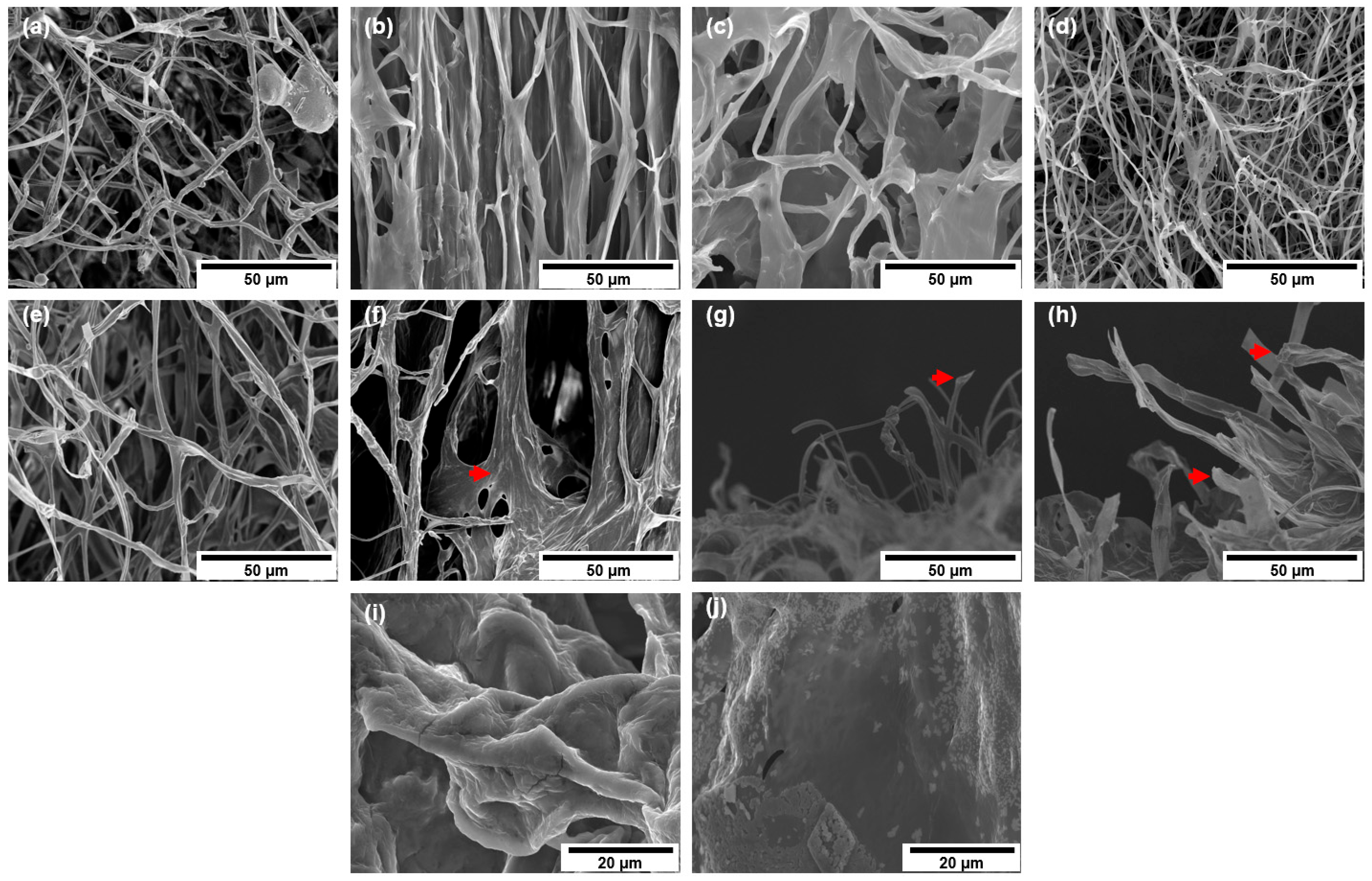 Fibers 13 00030 g001