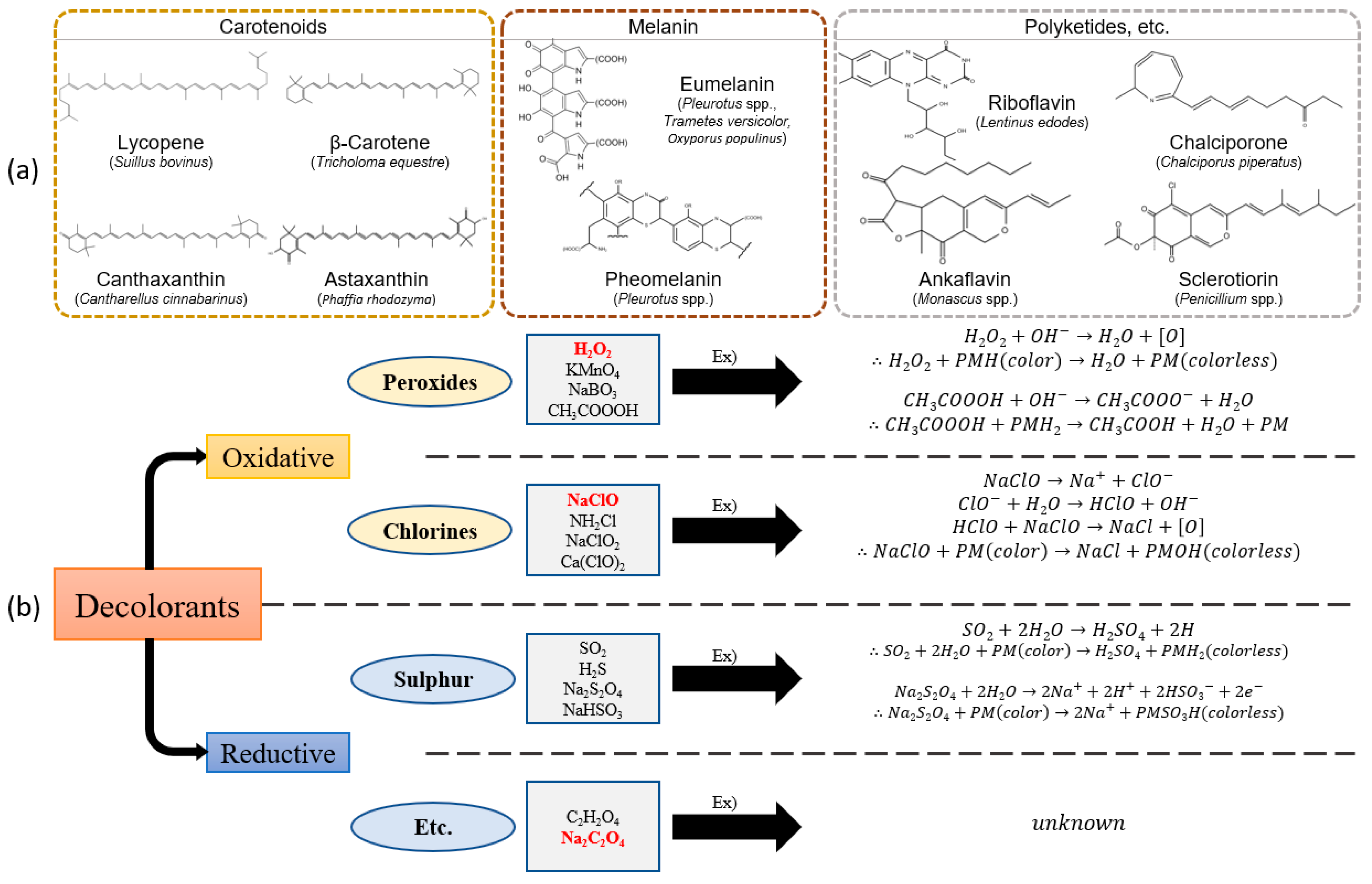 Fibers 13 00030 g005