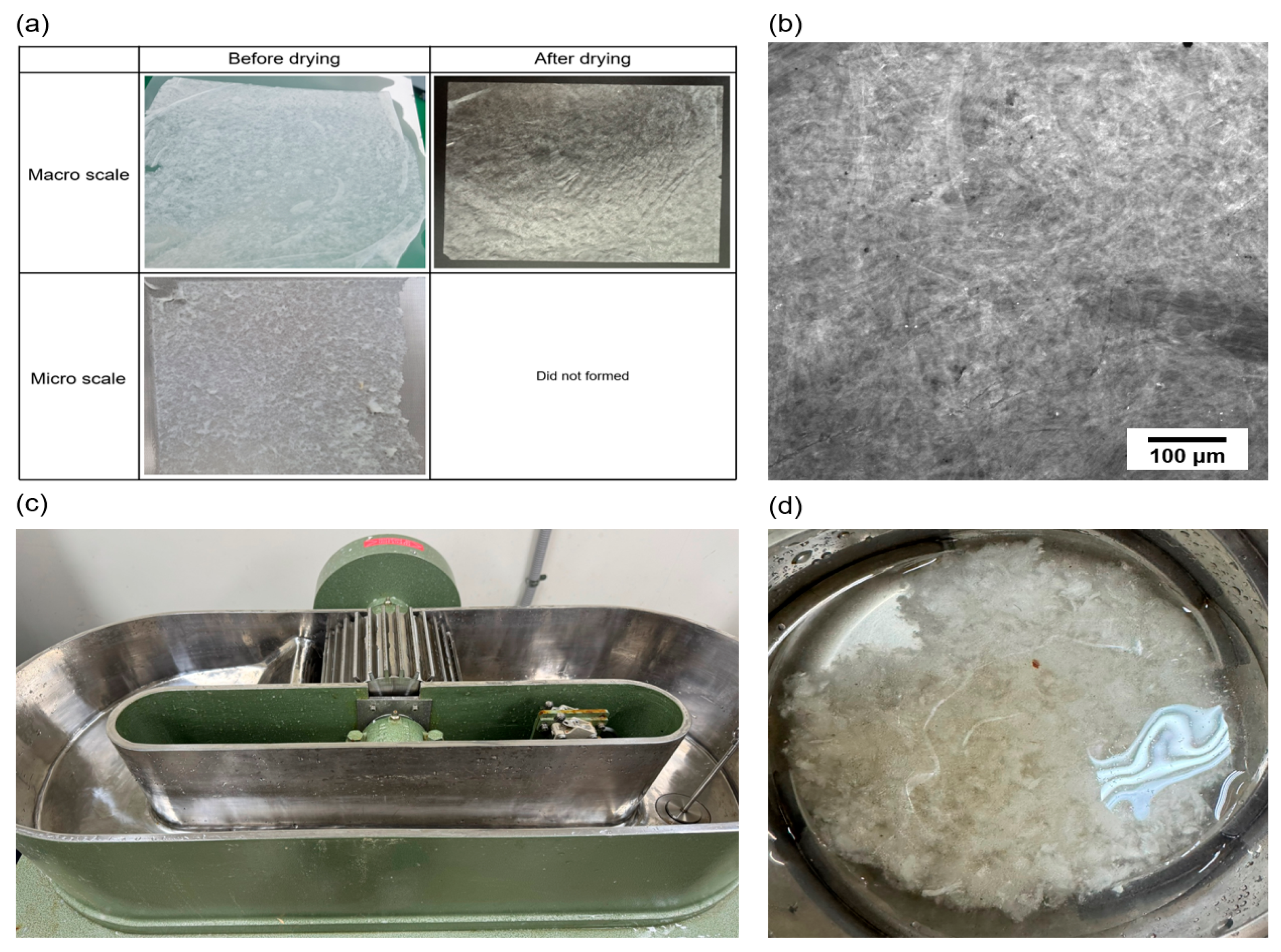 Fibers 13 00030 g007