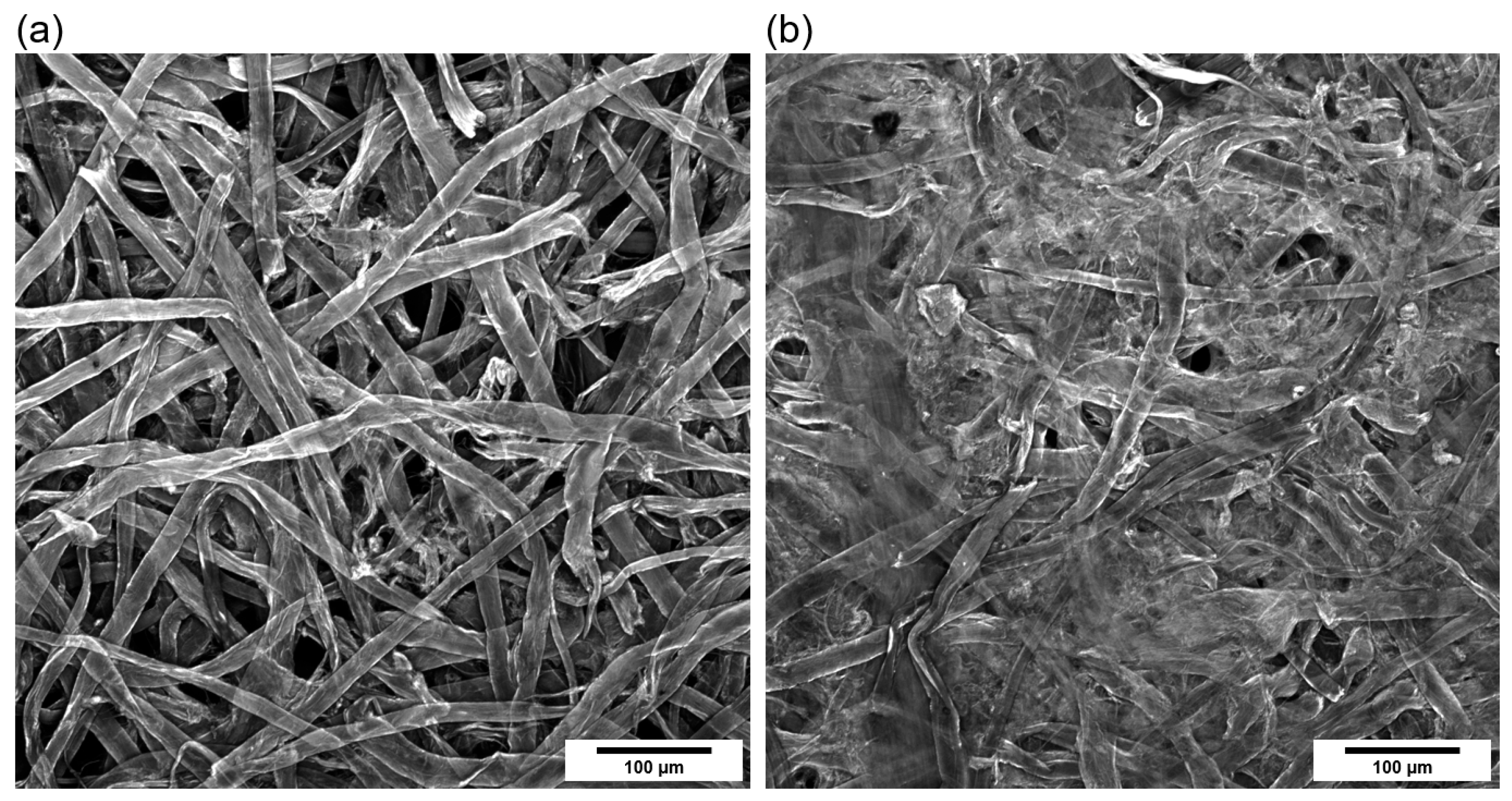 Fibers 13 00030 g008