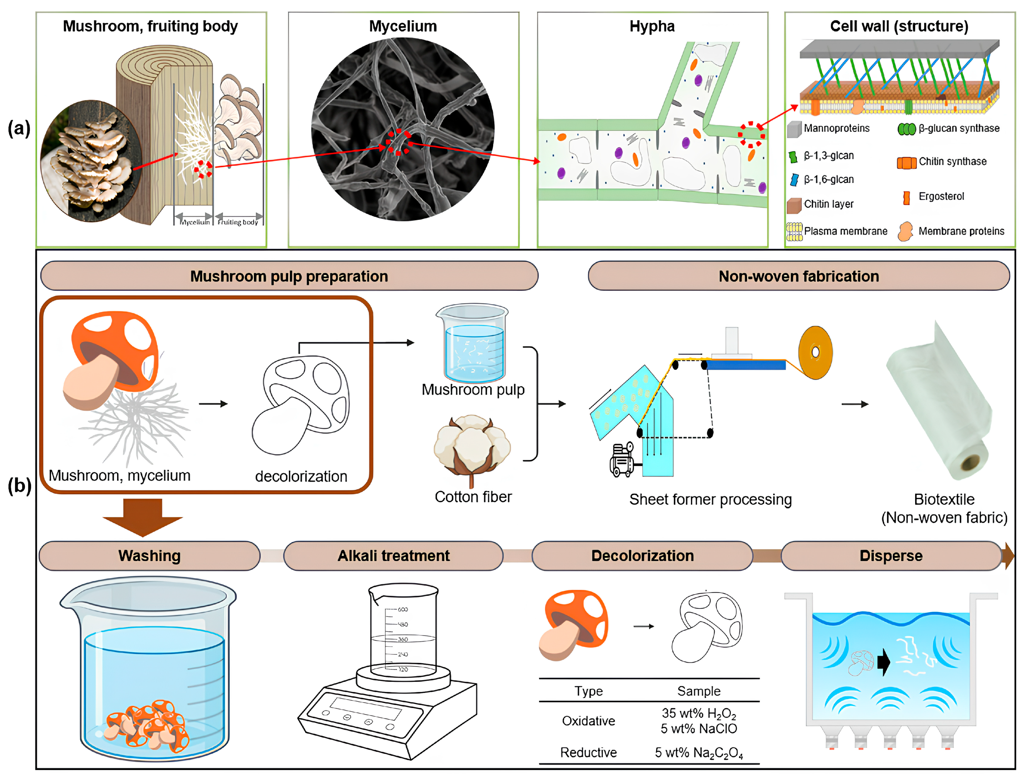 Fibers 13 00030 sch001