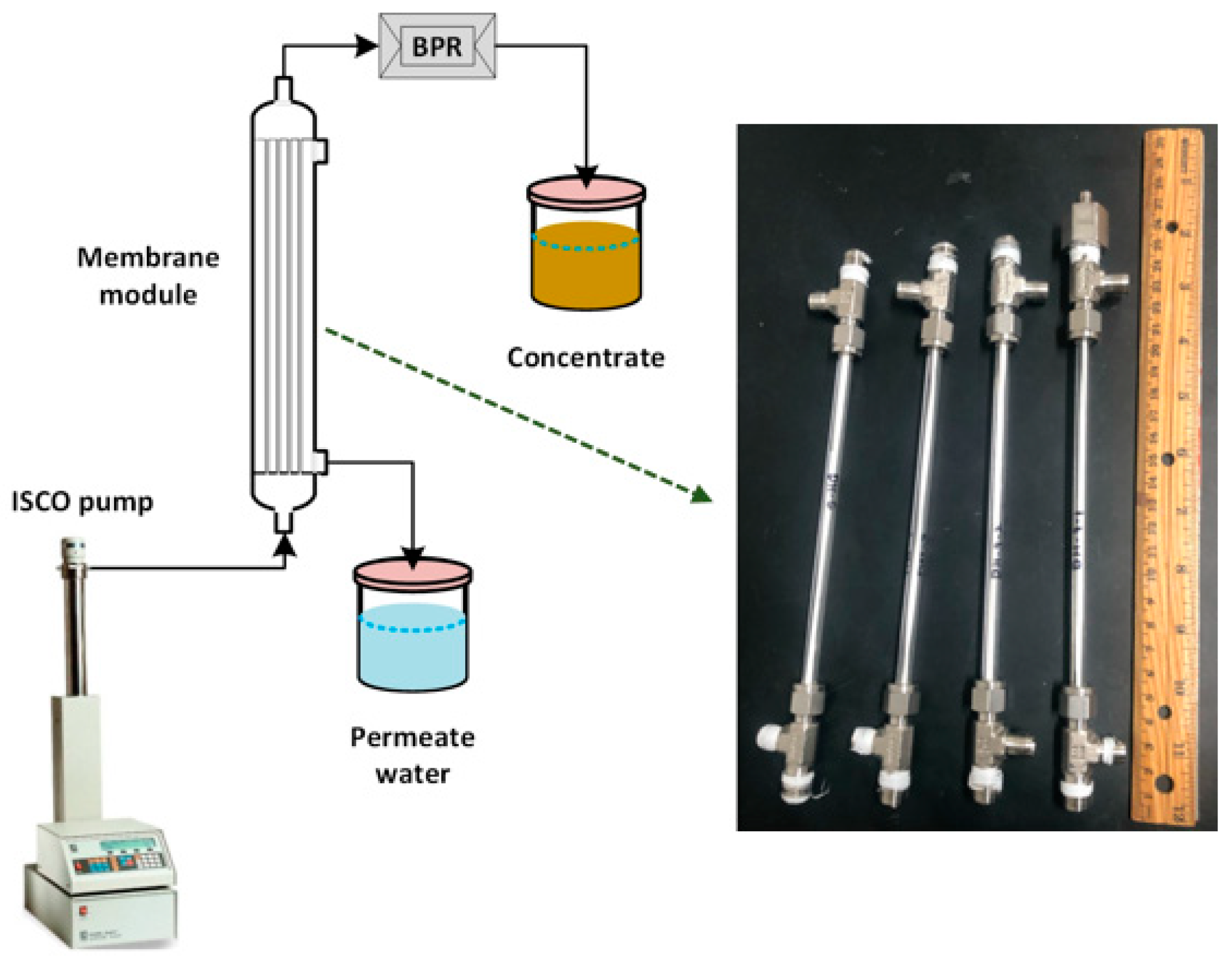 Fibers 13 00031 g001