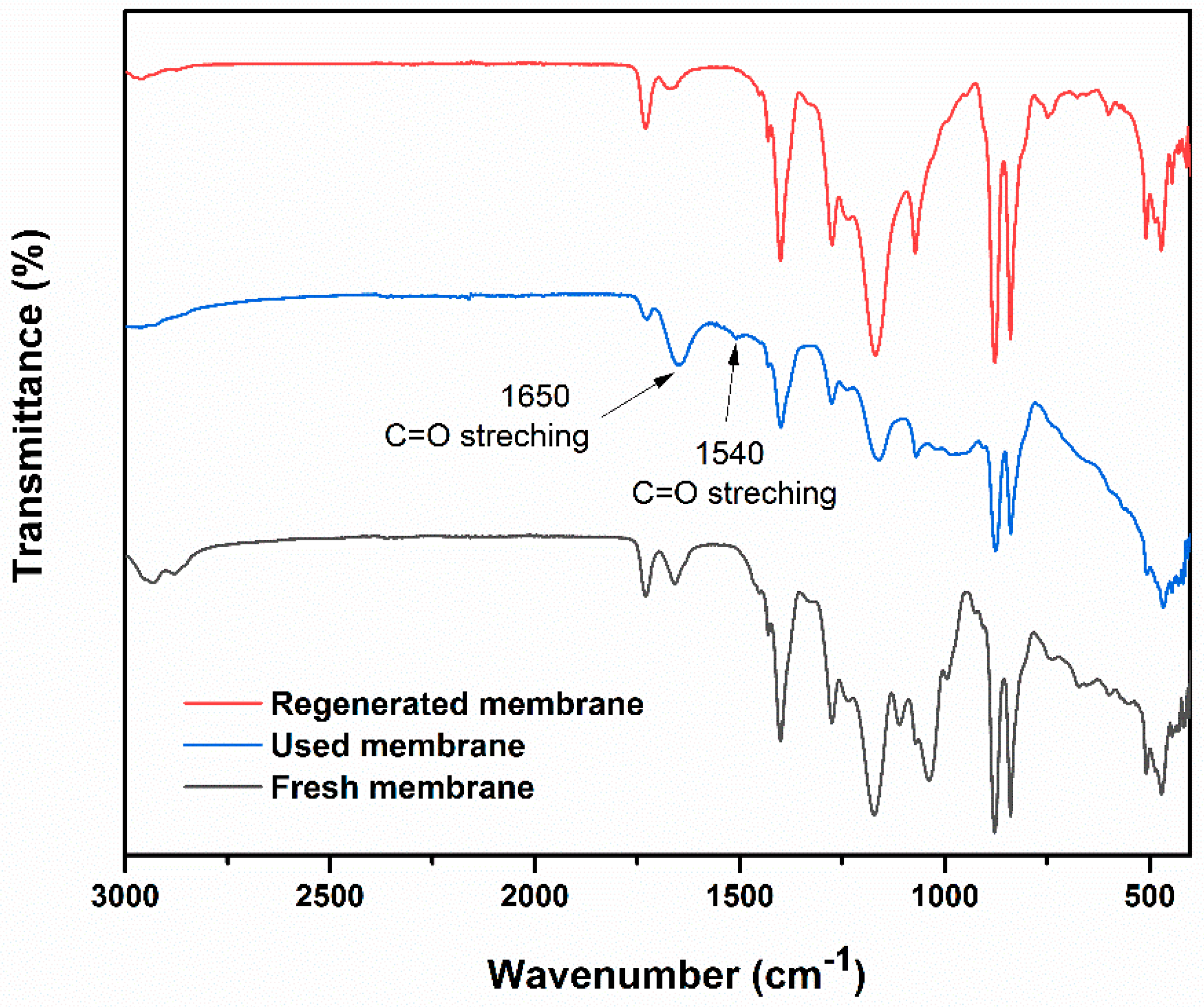 Fibers 13 00031 g010