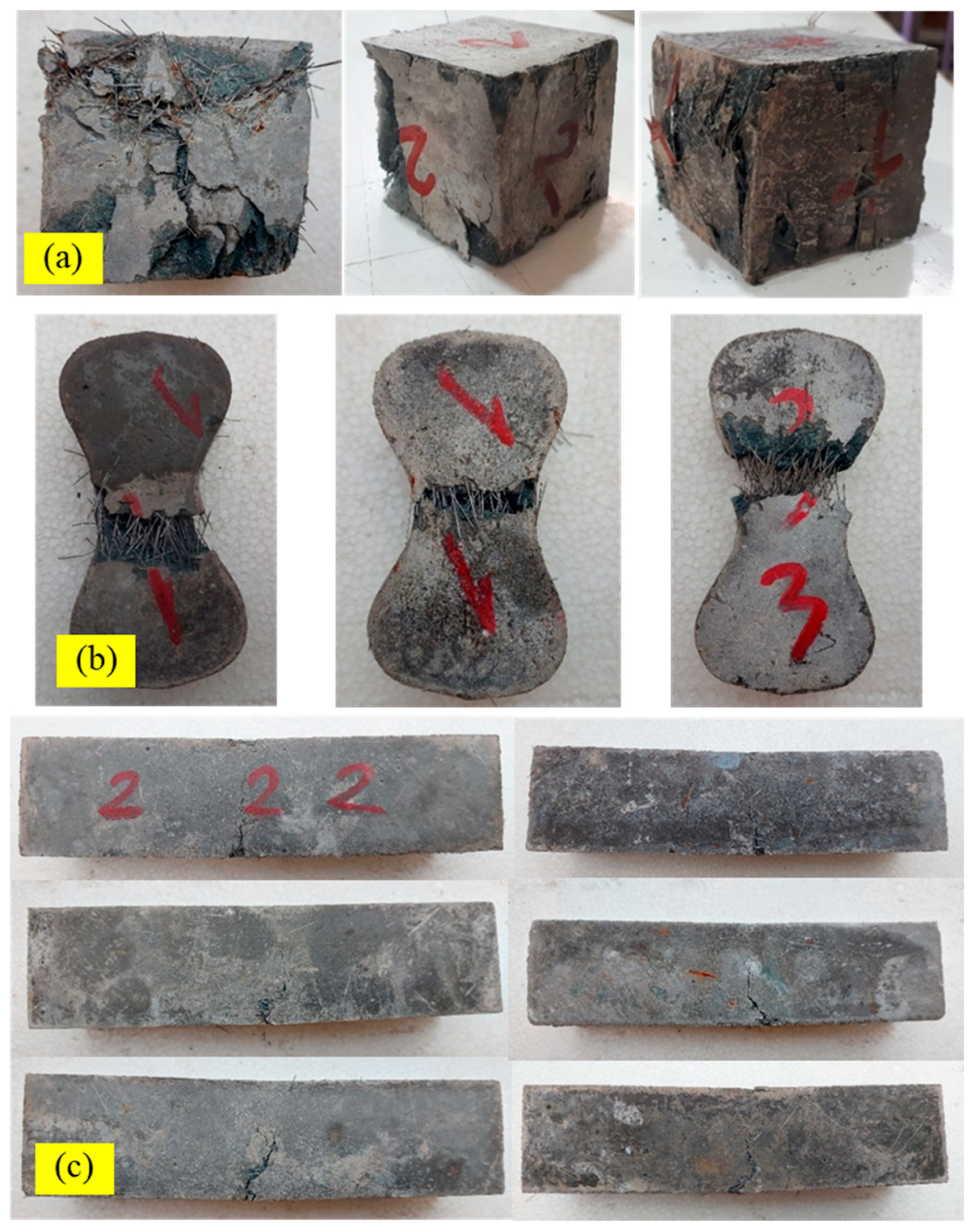 Fibers 13 00037 g012