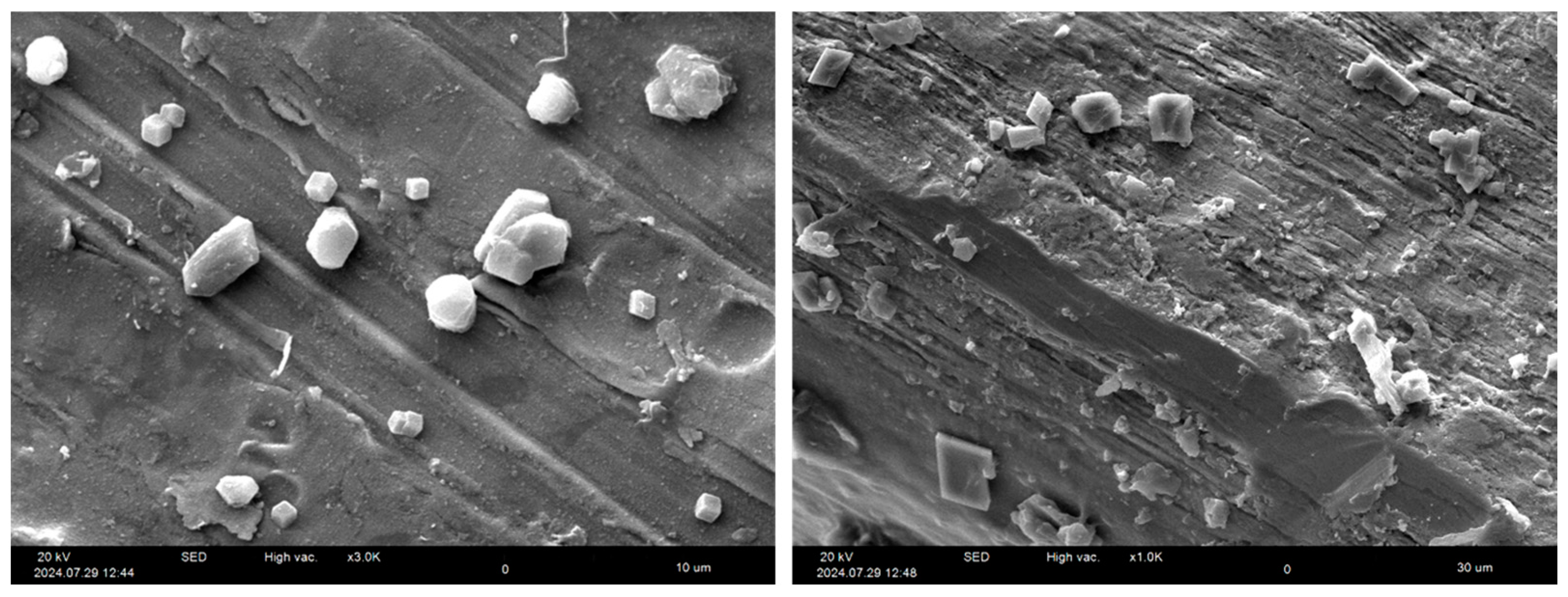 Fibers 13 00037 g016