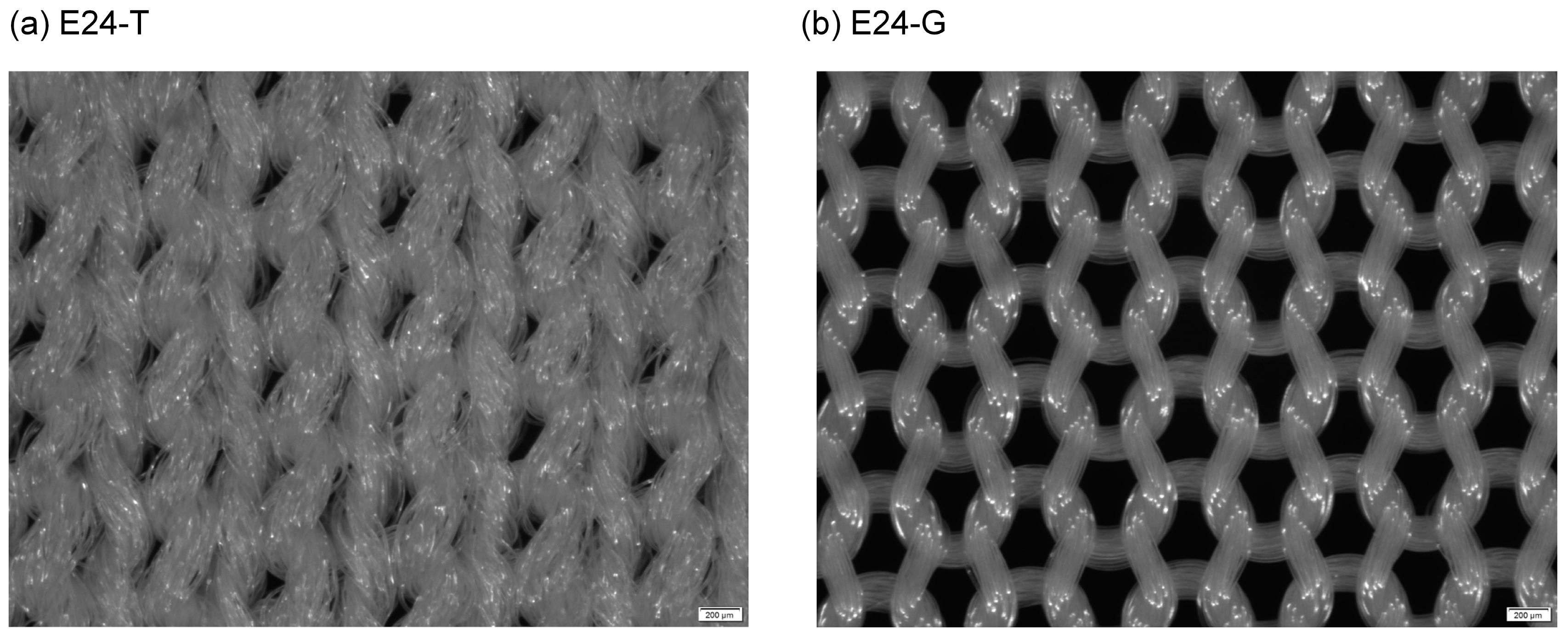 Fibers 13 00048 g005