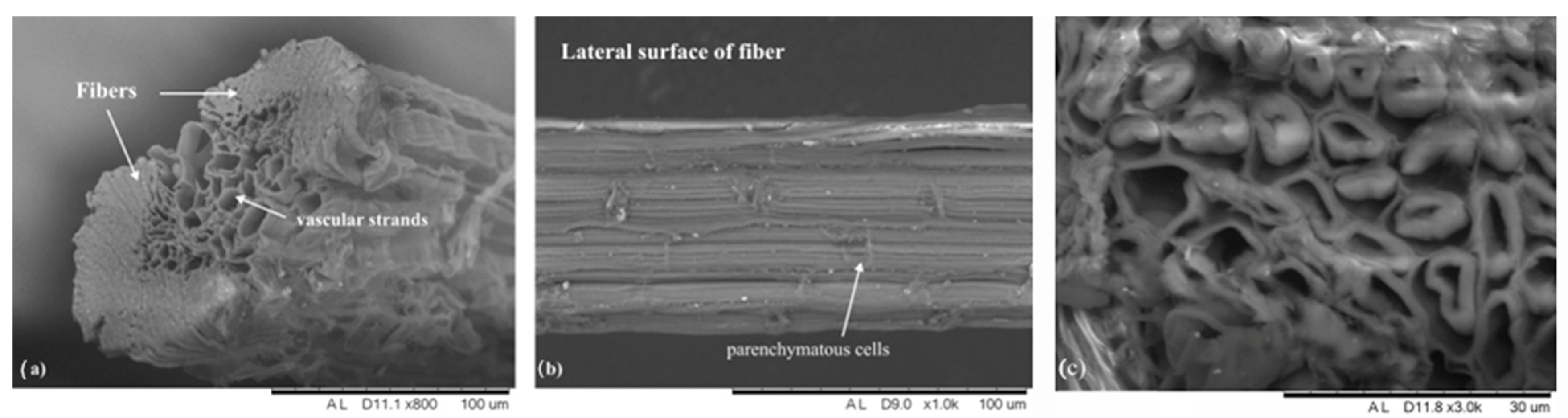 Fibers 13 00051 g005