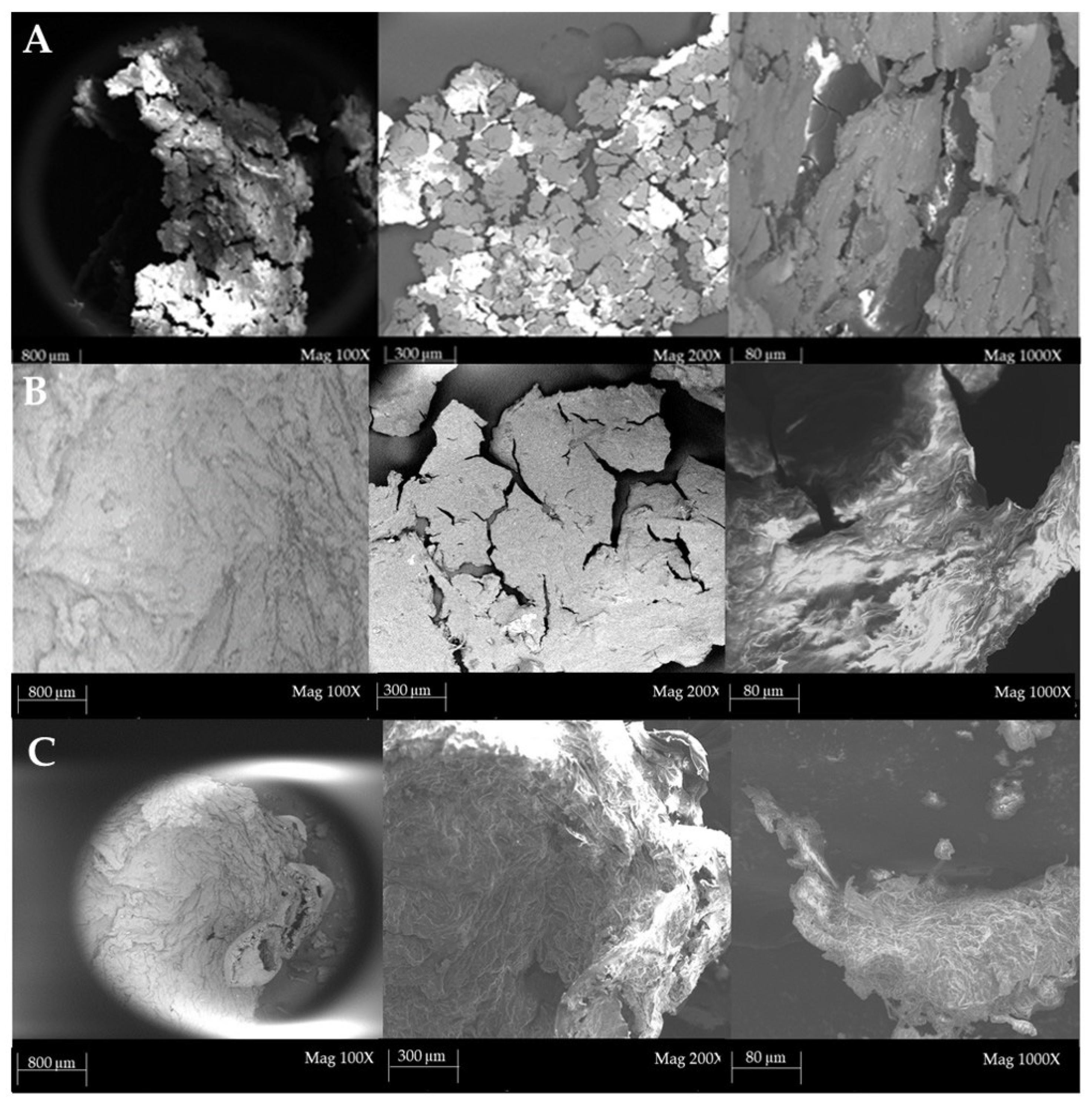 Fibers 13 00054 g006