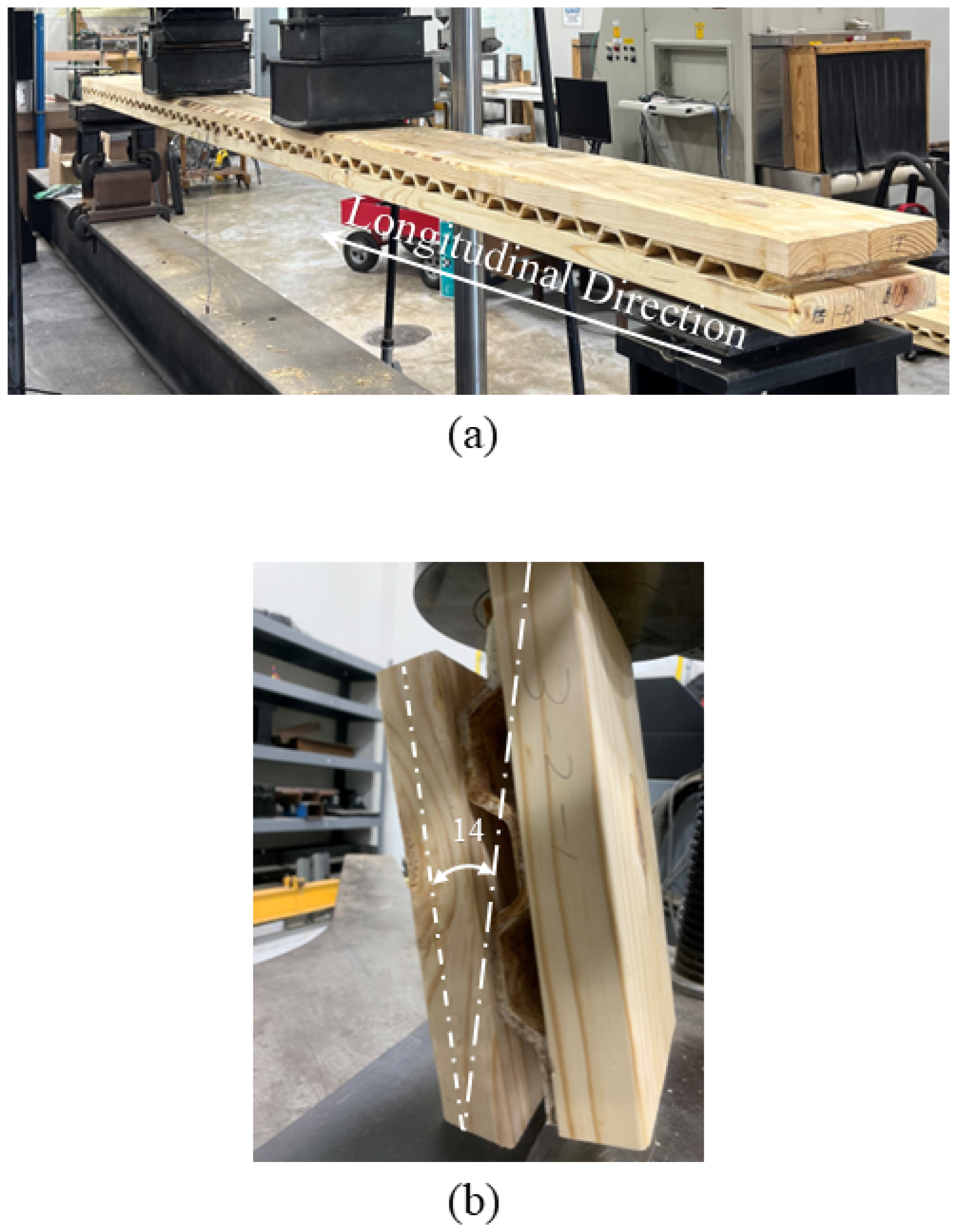 Fibers 13 00055 g002