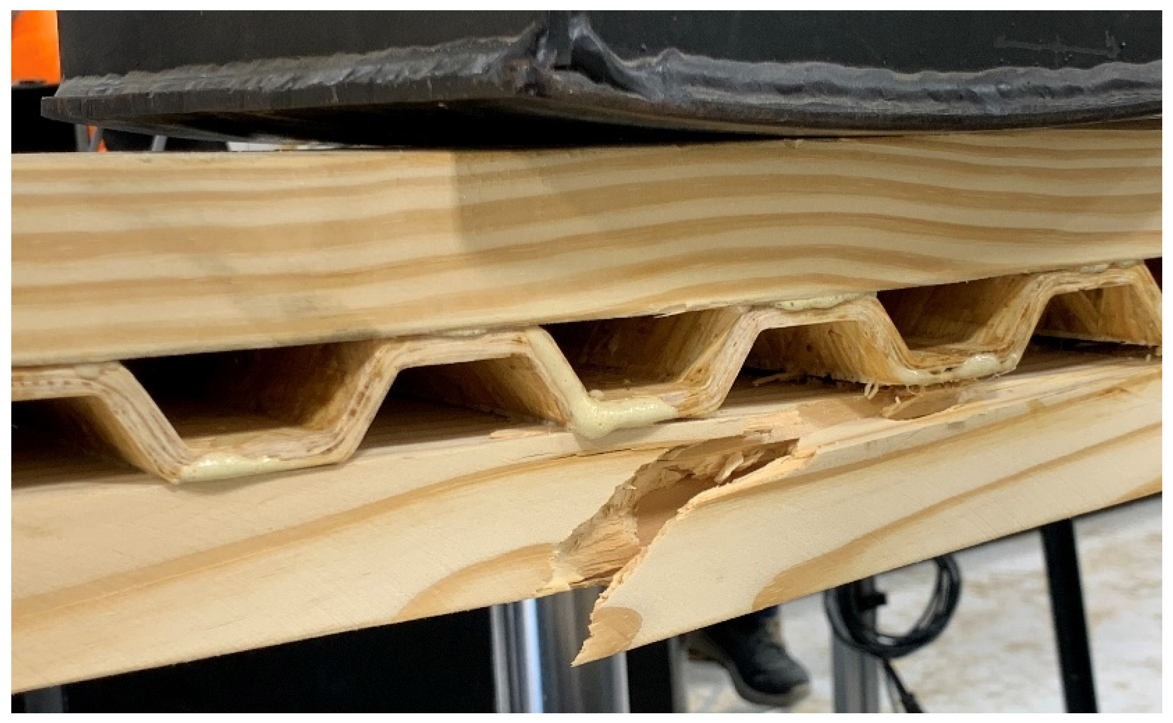 Fibers 13 00055 g009