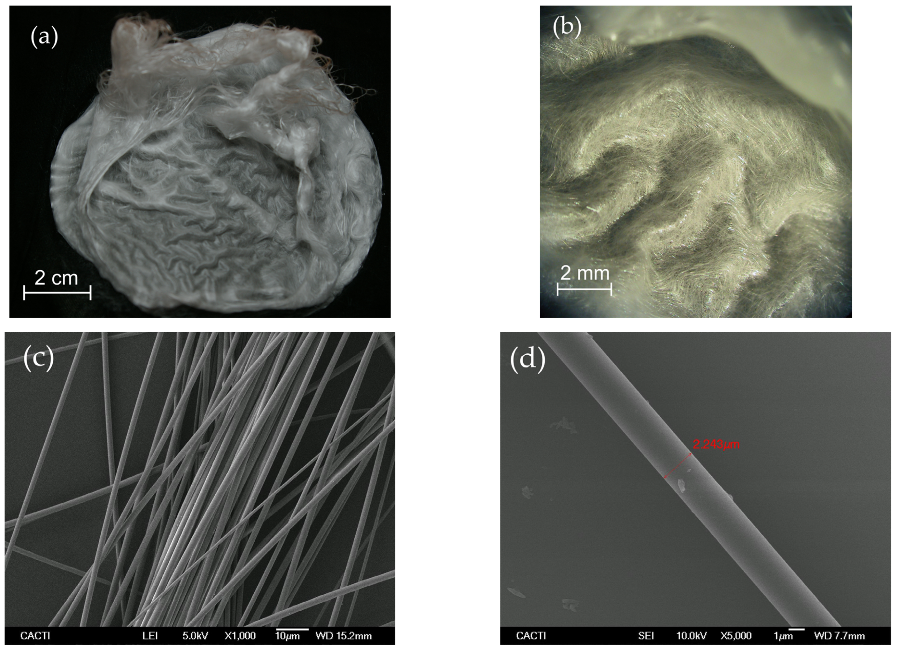 Fibers 13 00059 g002