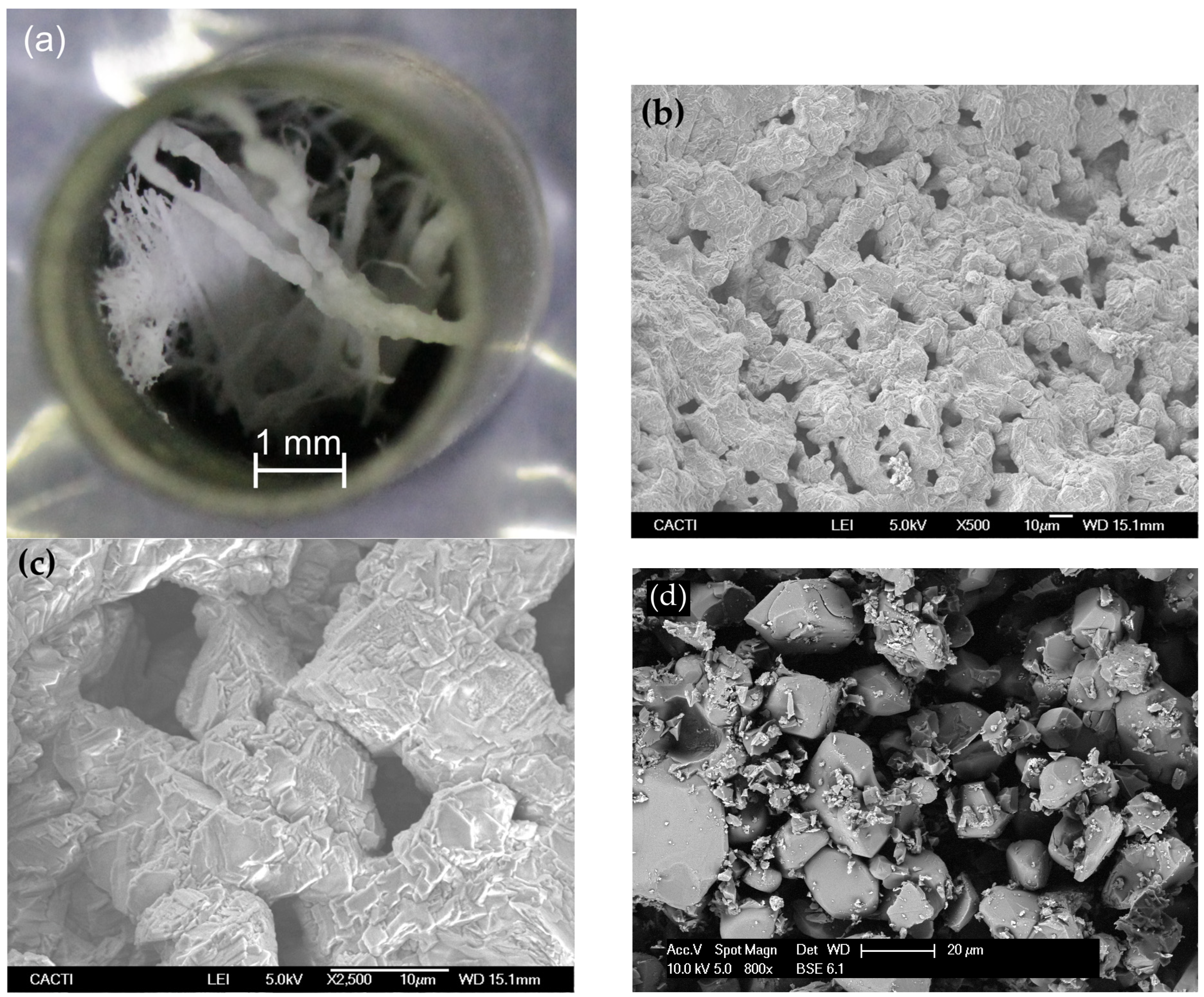 Fibers 13 00059 g011