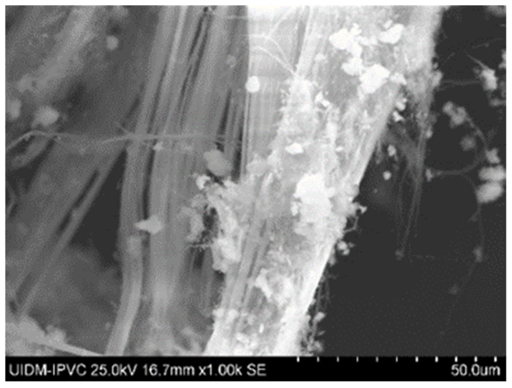 Fibers 13 00062 g002