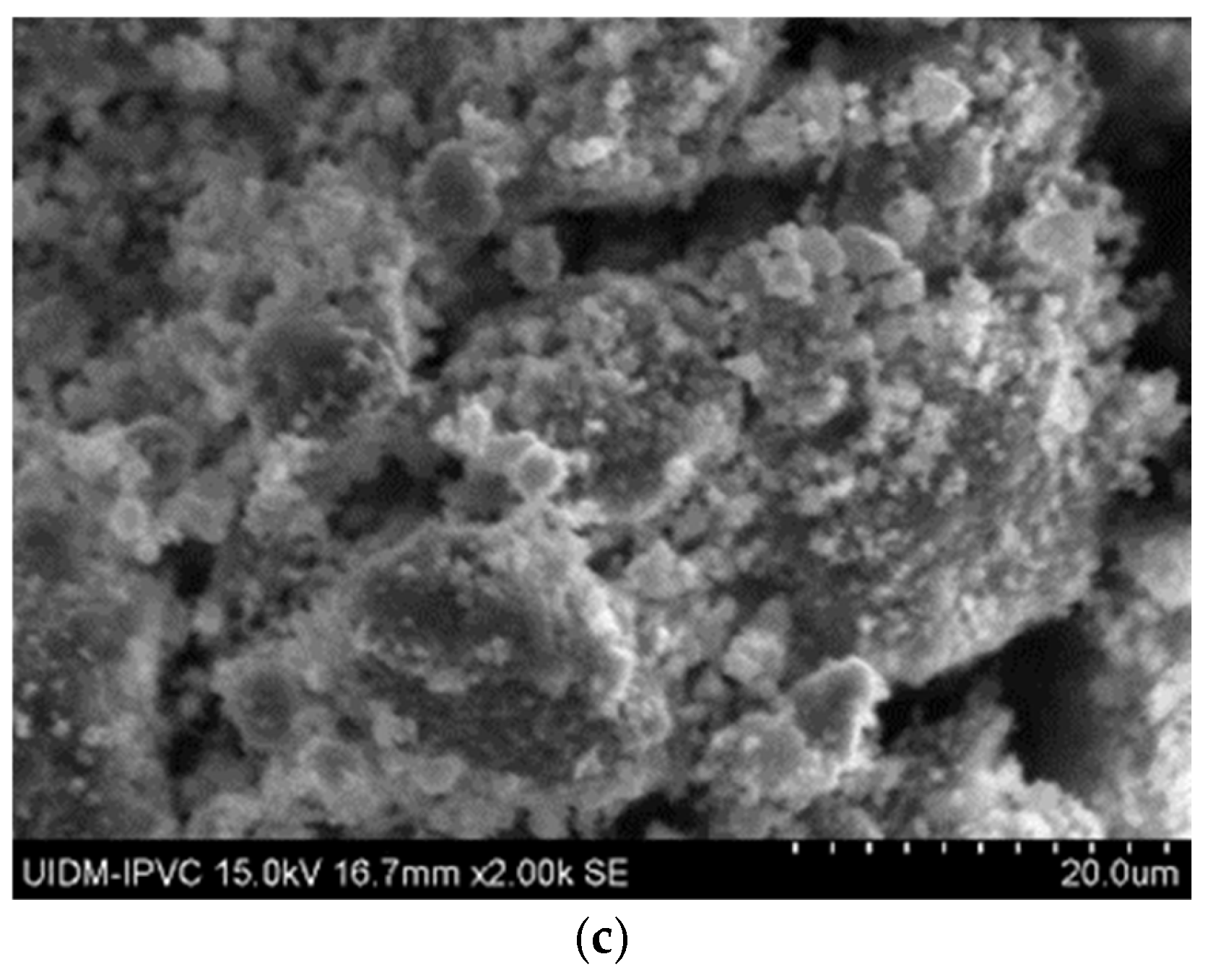 Fibers 13 00062 g006b