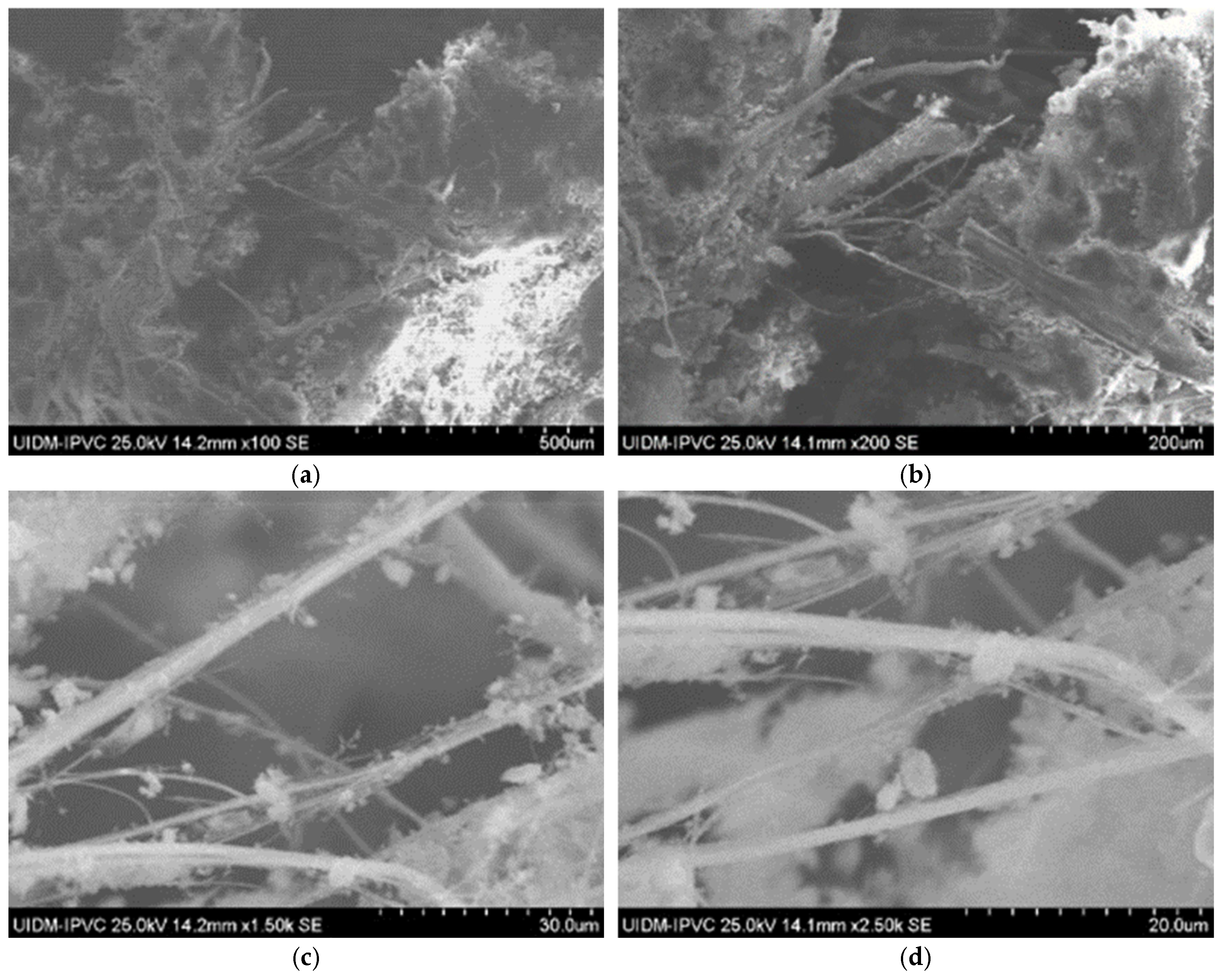 Fibers 13 00062 g007