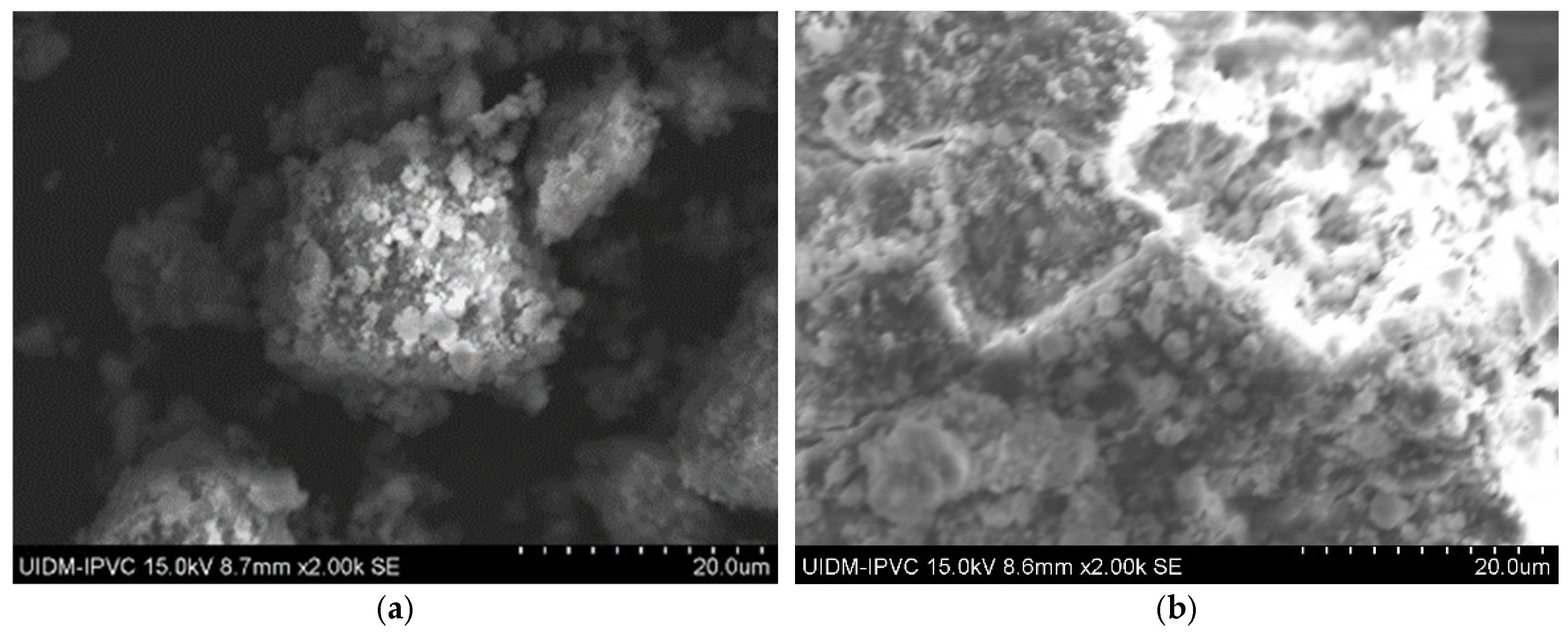 Fibers 13 00062 g008