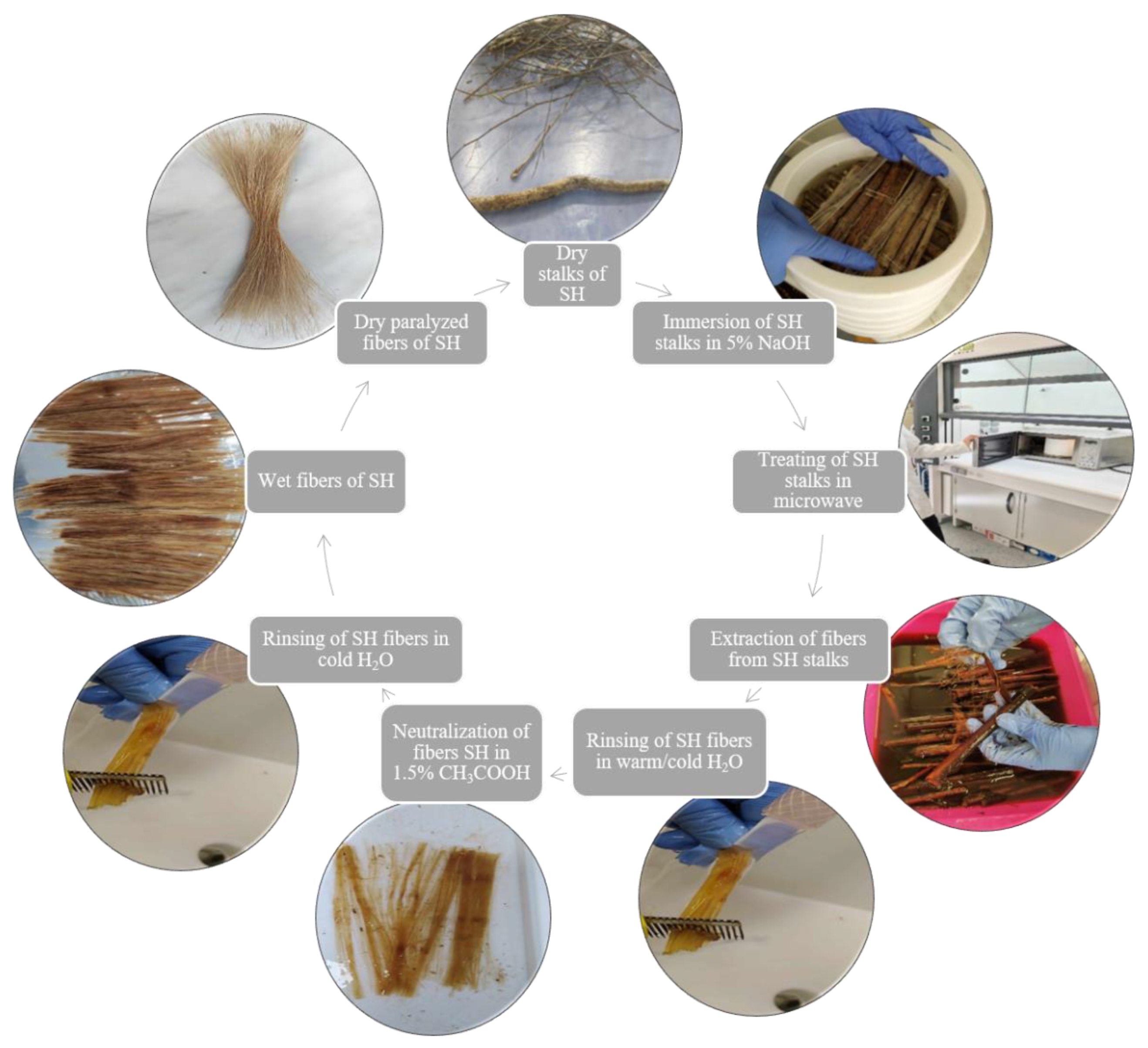 Fibers 13 00063 g002