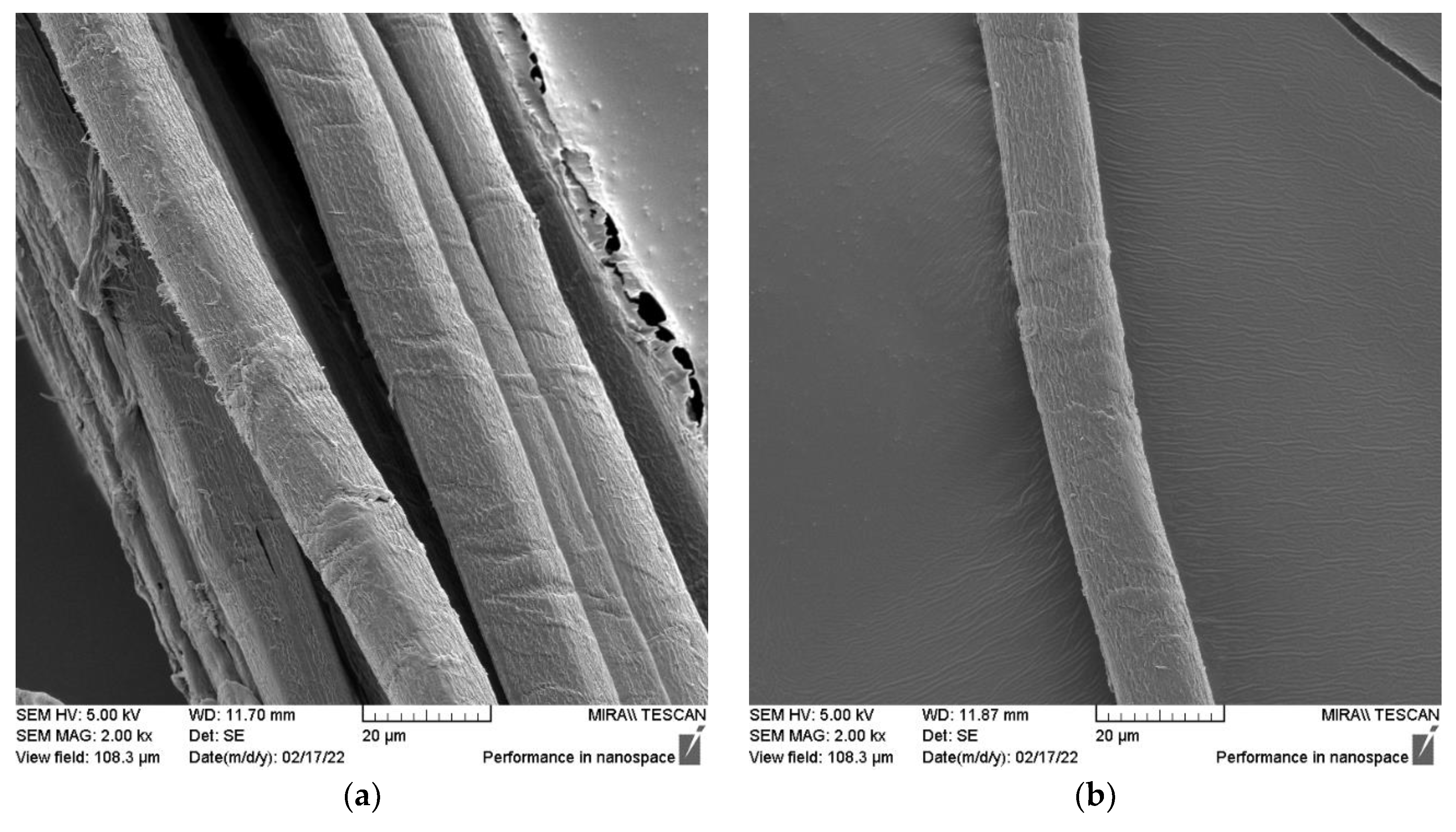 Fibers 13 00063 g007
