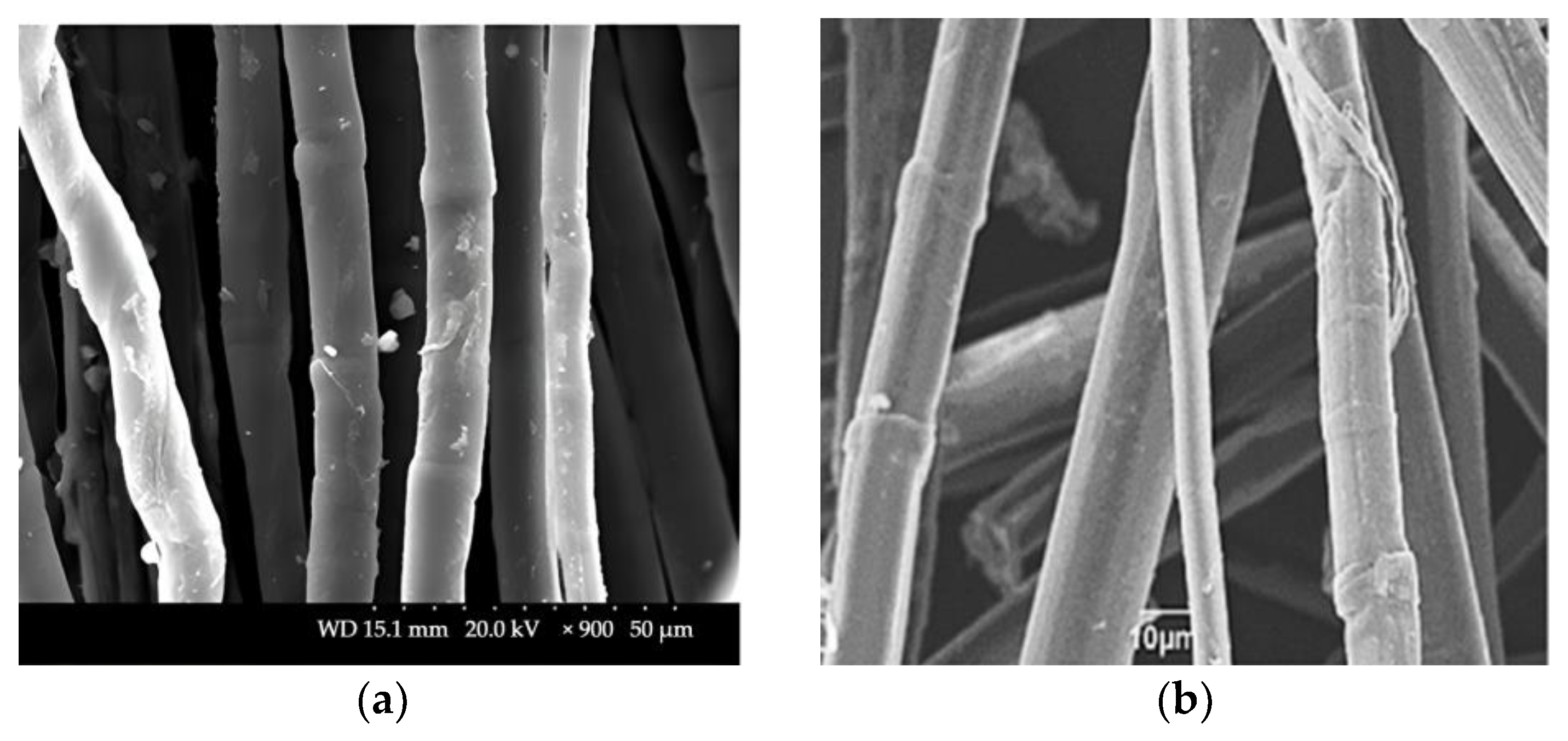 Fibers 13 00063 g008
