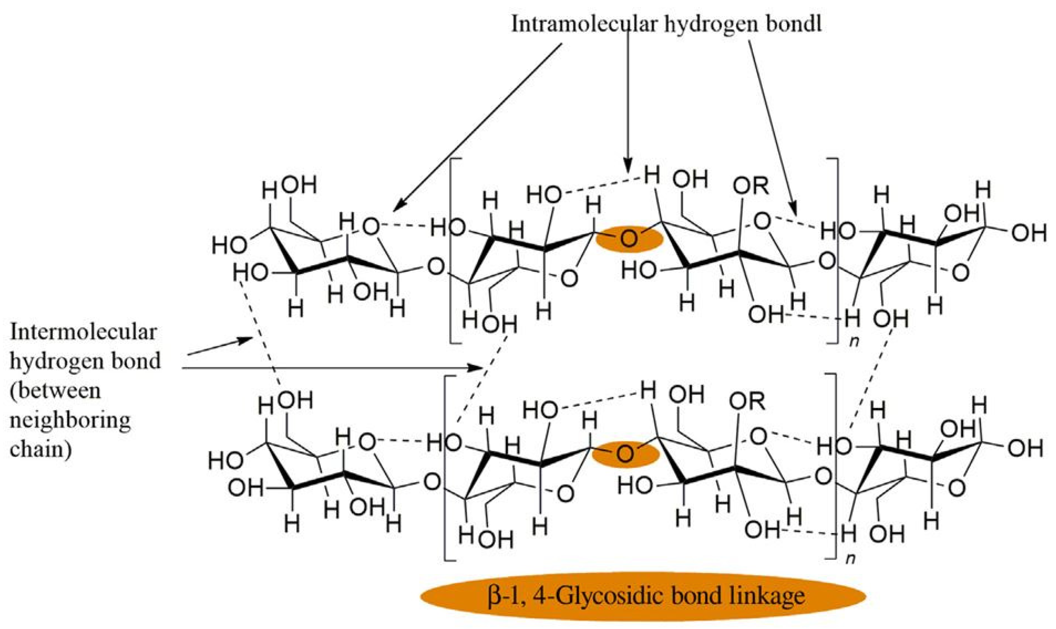 Fibers 13 00064 g002