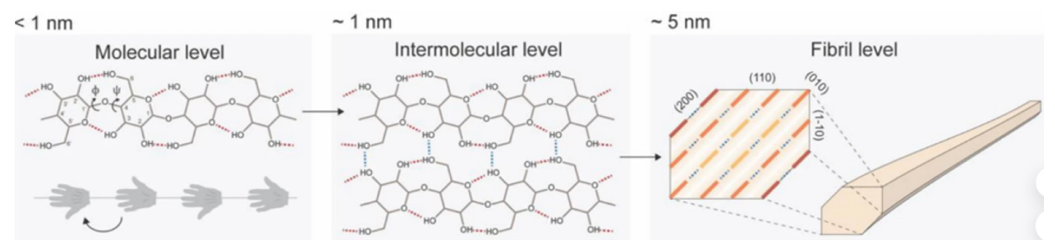 Fibers 13 00064 g003