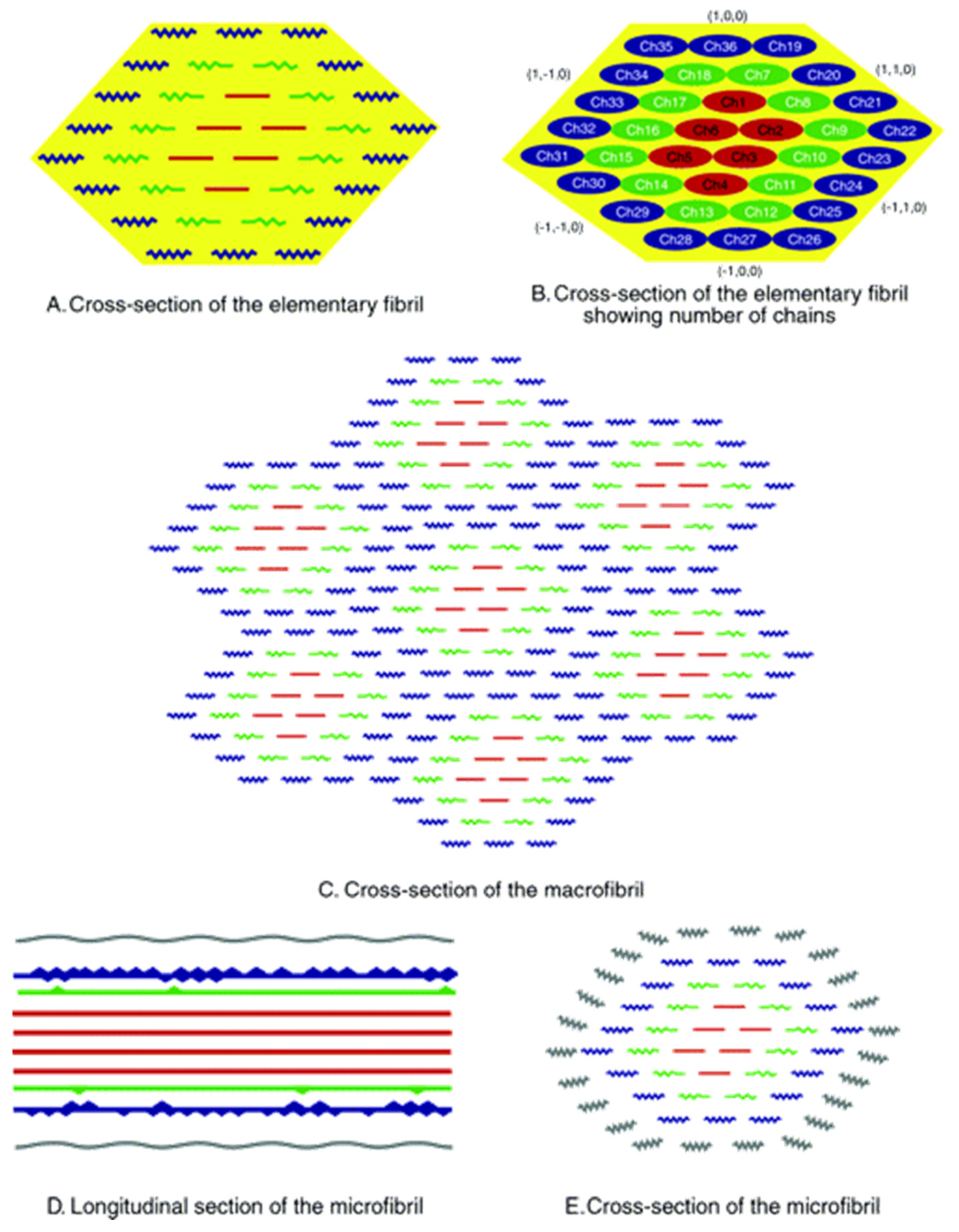 Fibers 13 00064 g004
