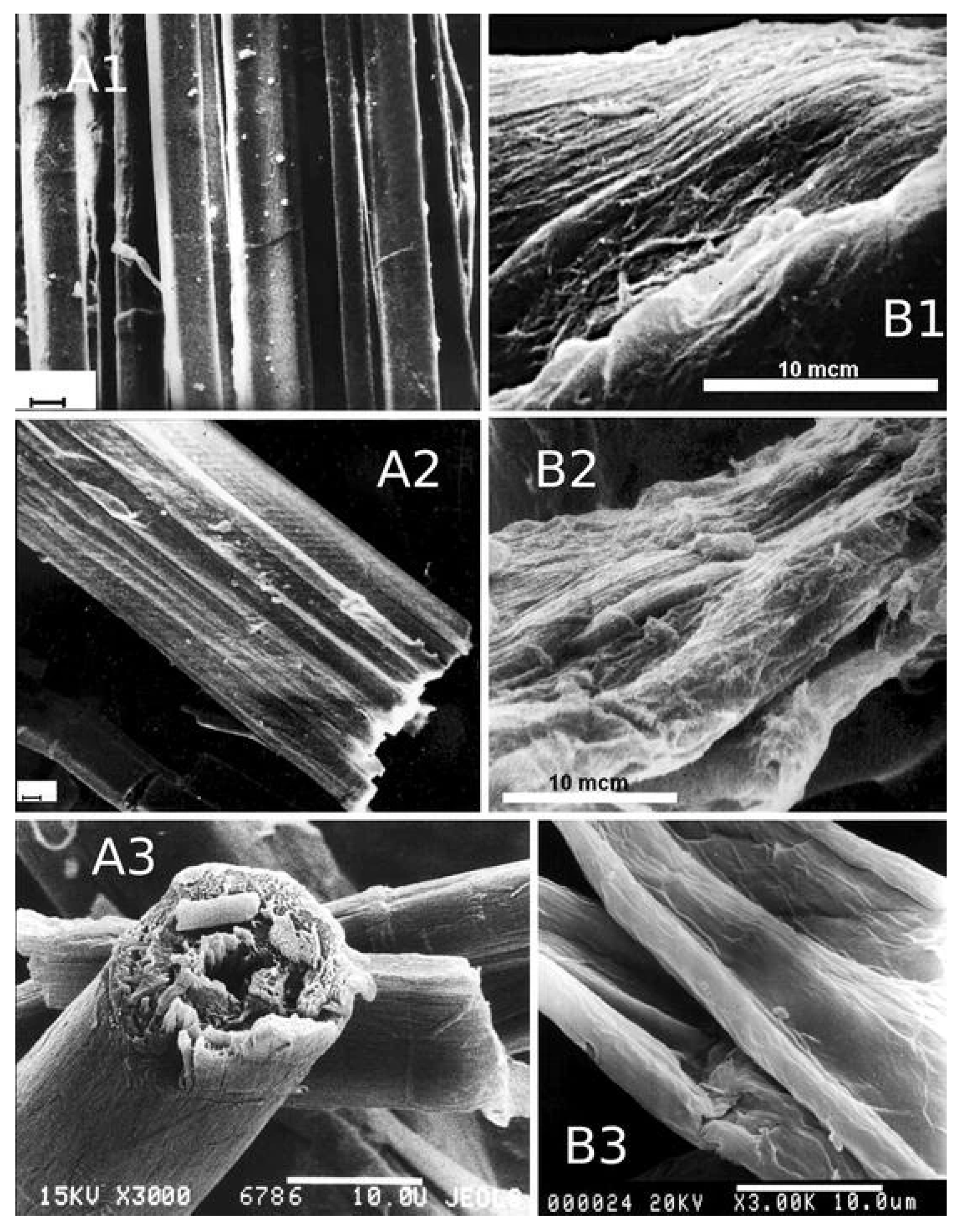 Fibers 13 00064 g005