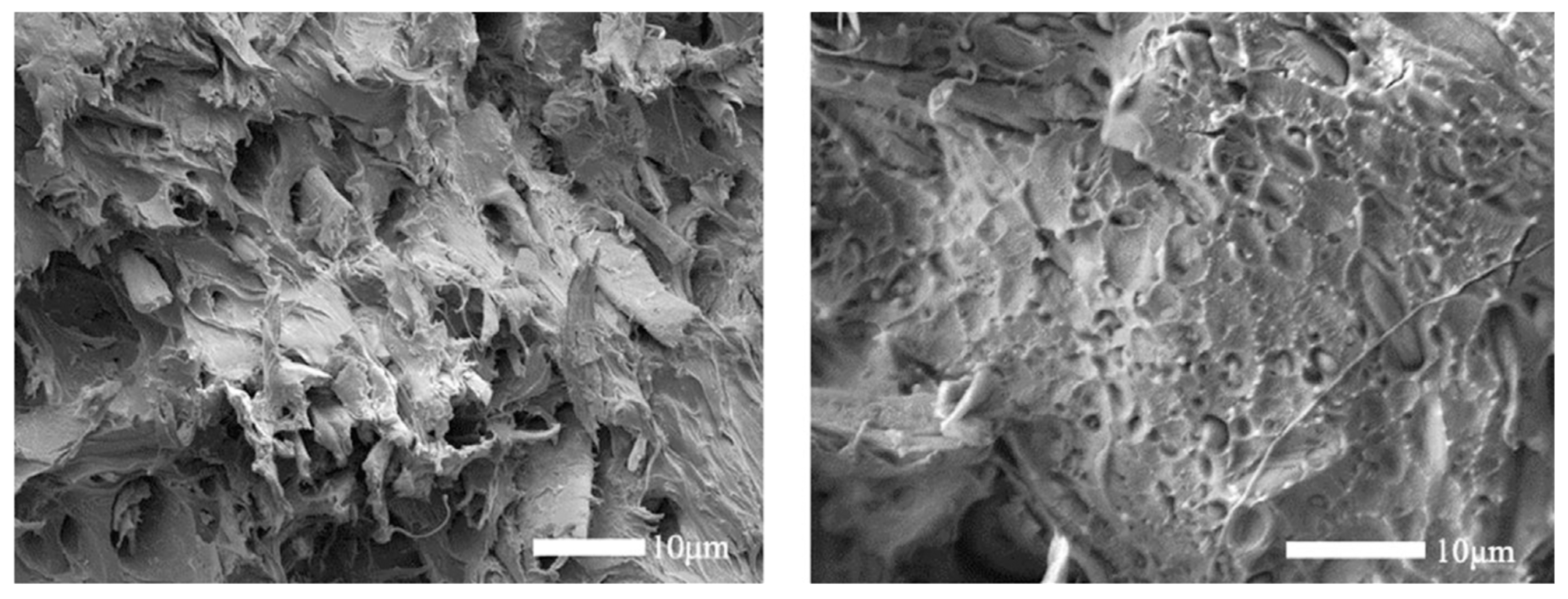 Fibers 13 00064 g010